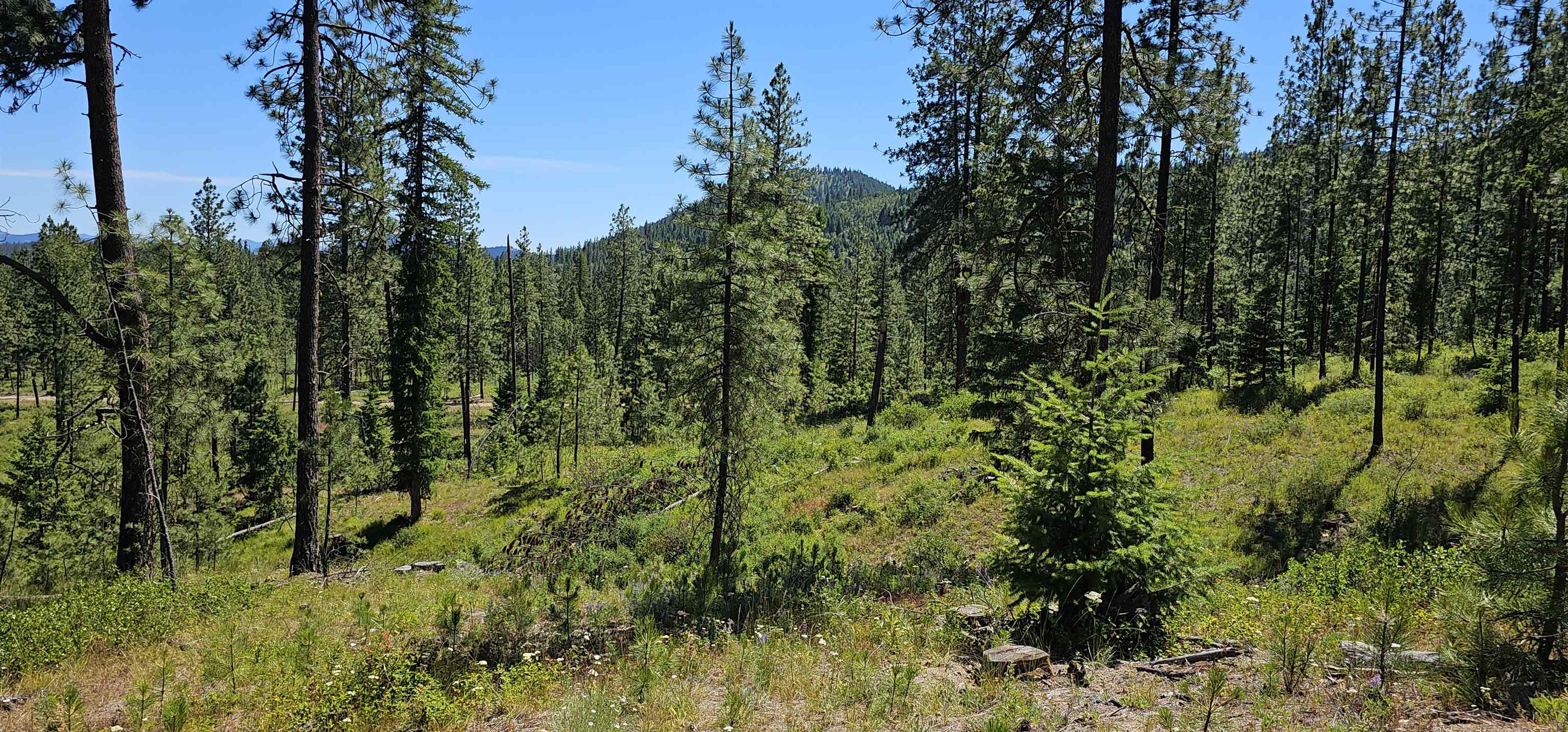 20X Lynx Rd - Photo 23