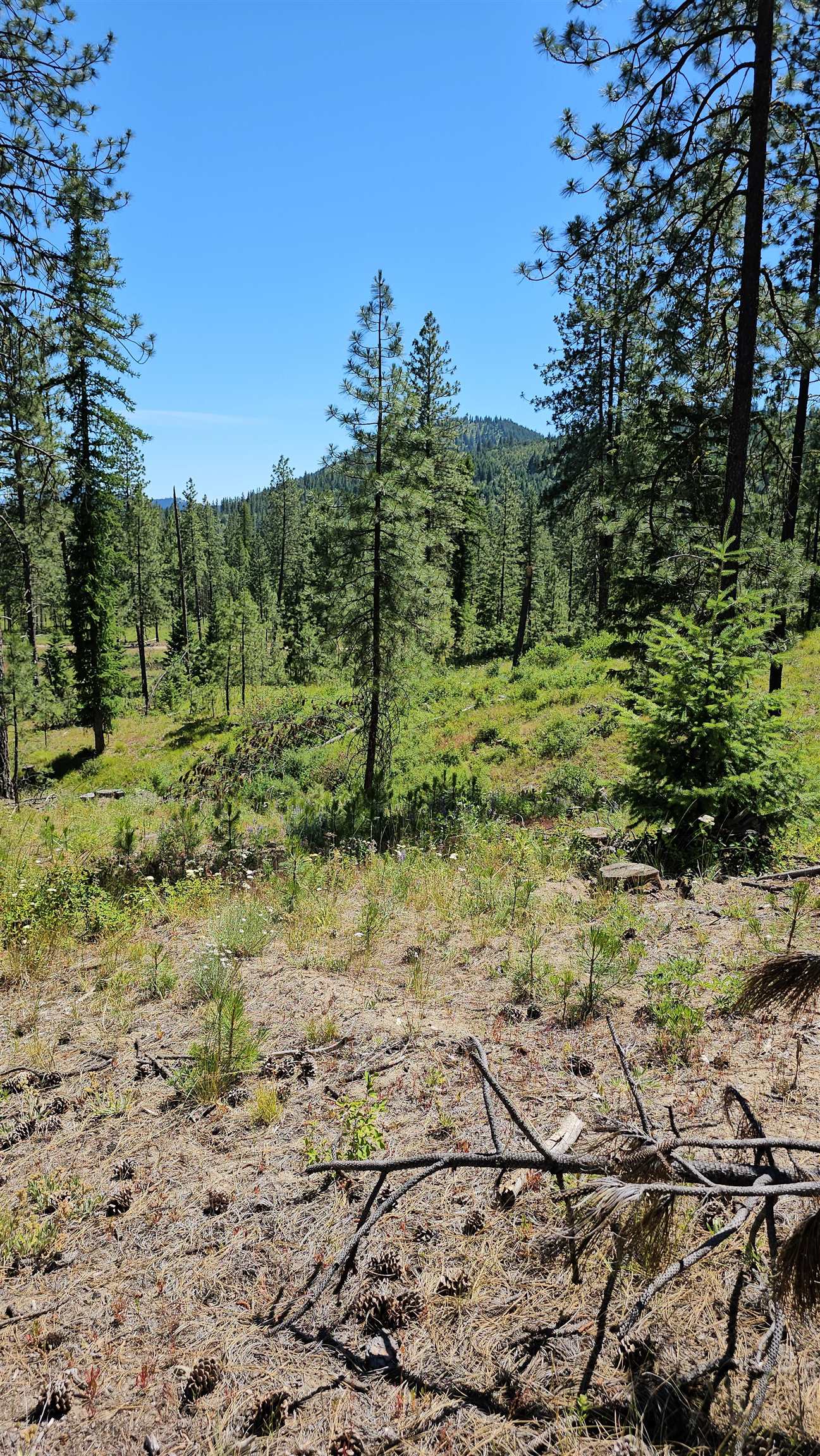 20X Lynx Rd - Photo 24