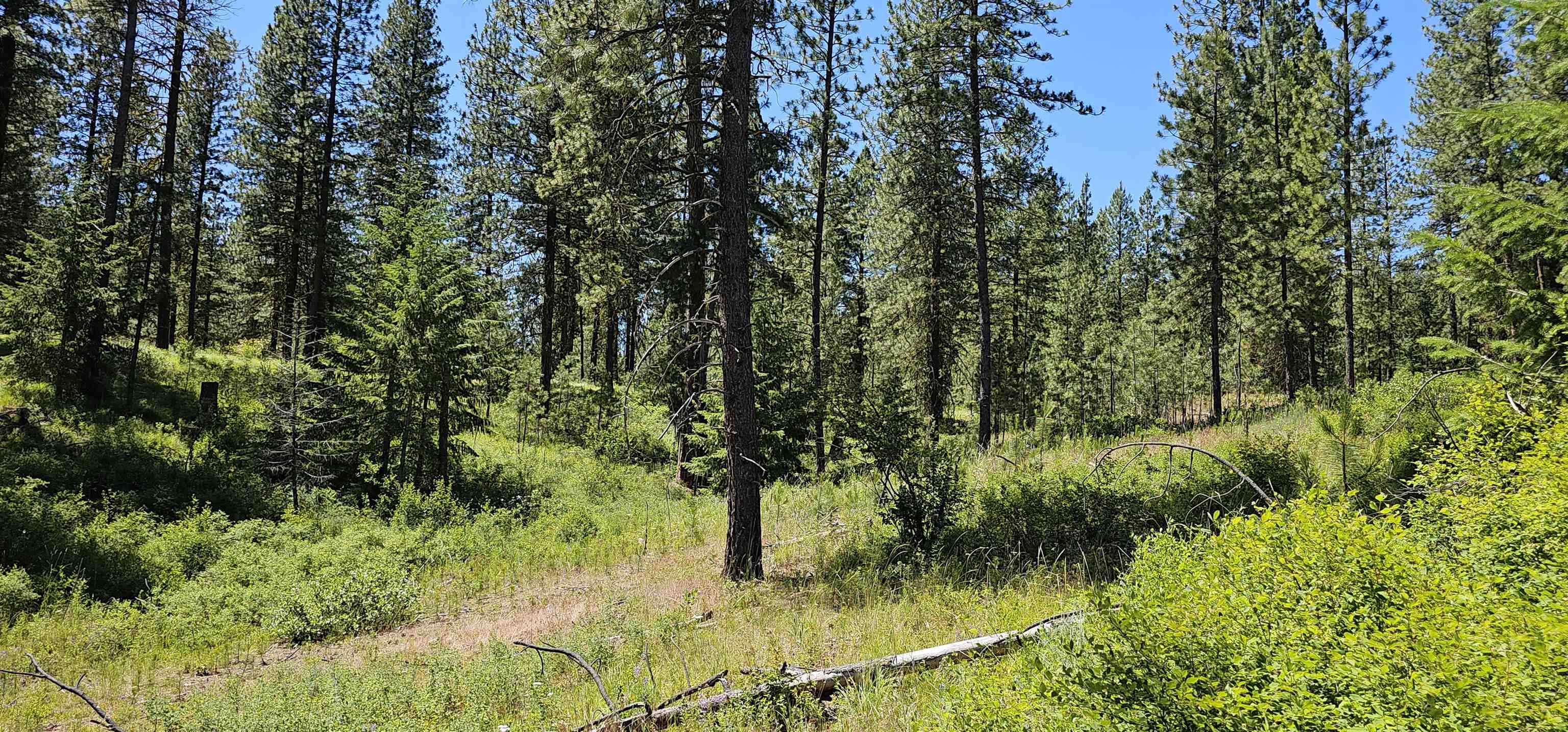20X Lynx Rd - Photo 25