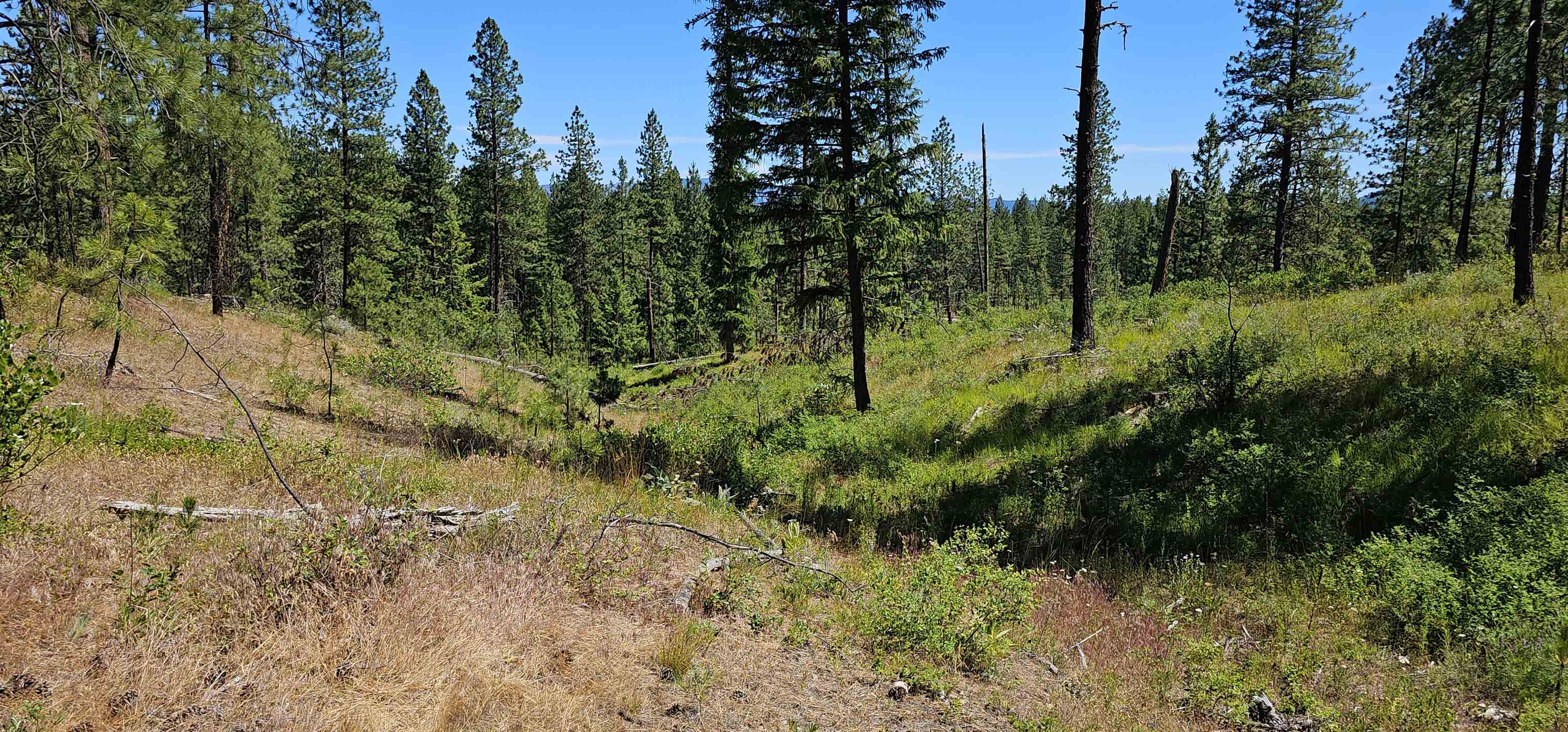 20X Lynx Rd - Photo 26