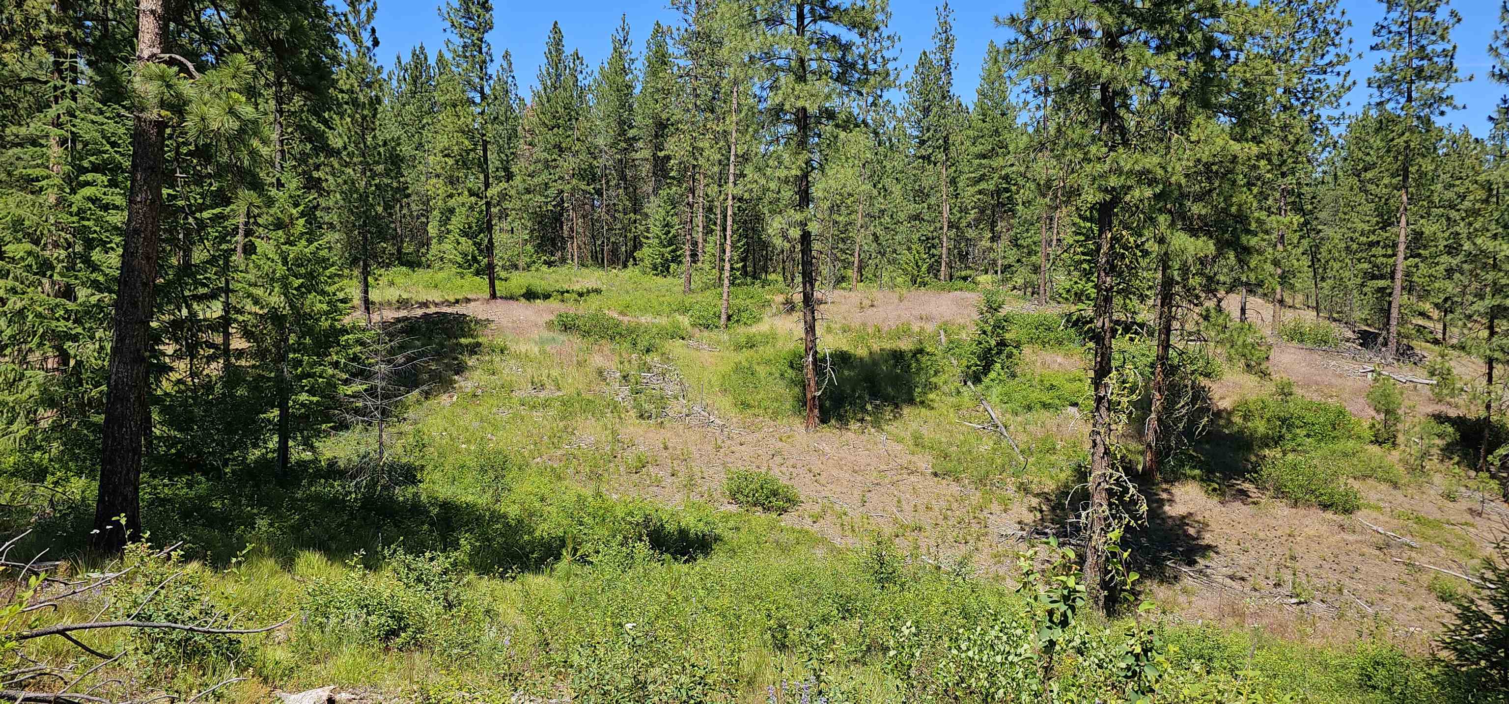 20X Lynx Rd - Photo 27