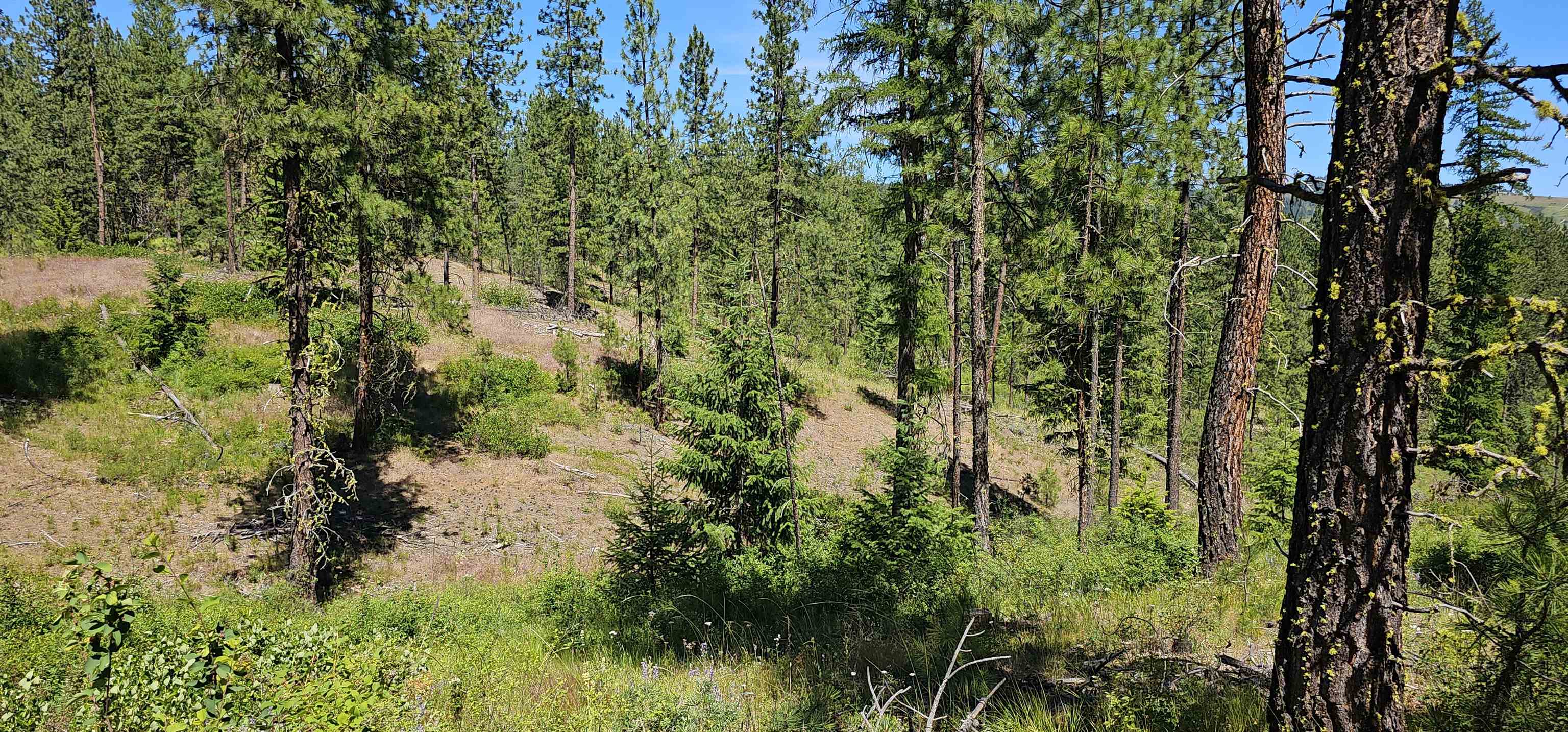 20X Lynx Rd - Photo 28