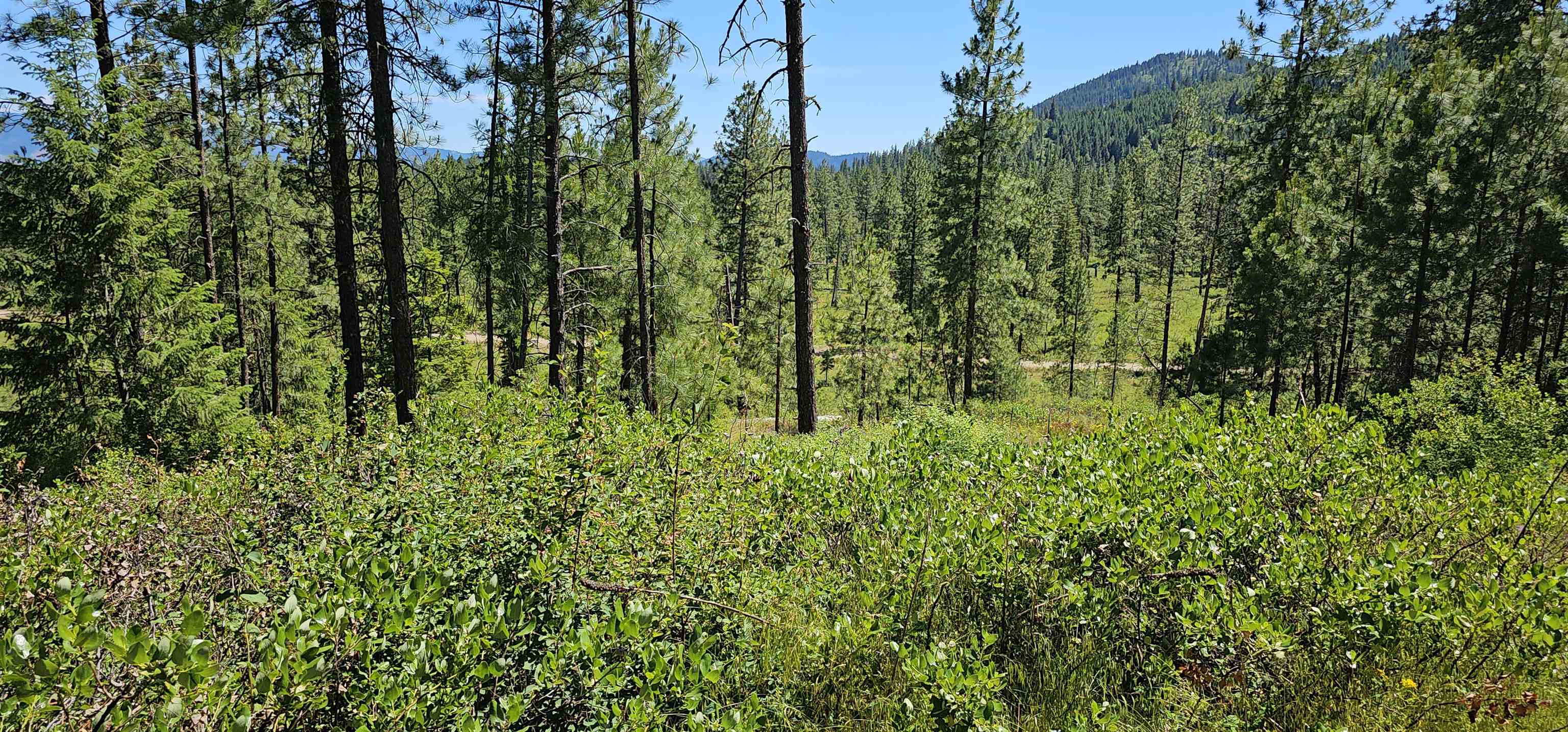 20X Lynx Rd - Photo 29