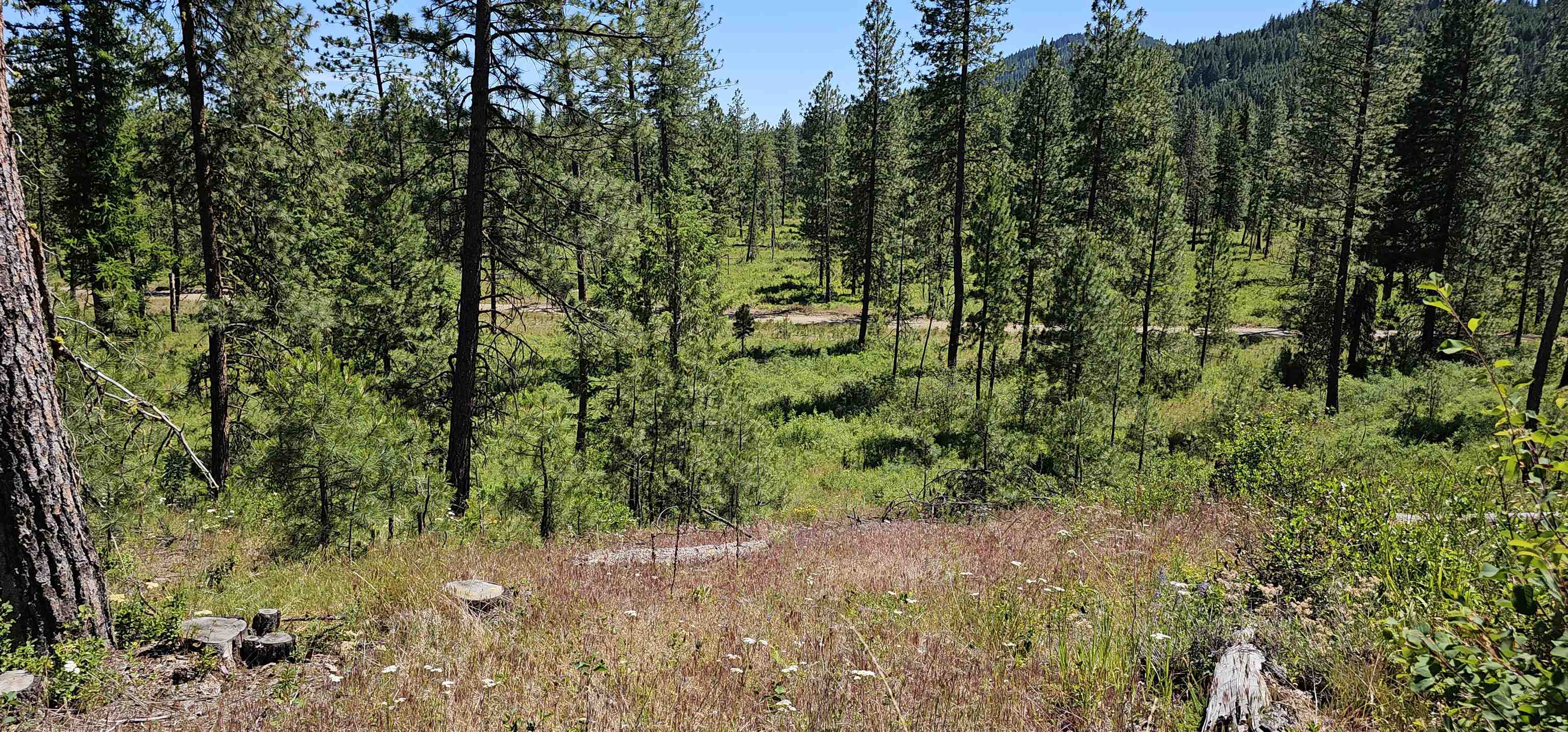 20X Lynx Rd - Photo 30