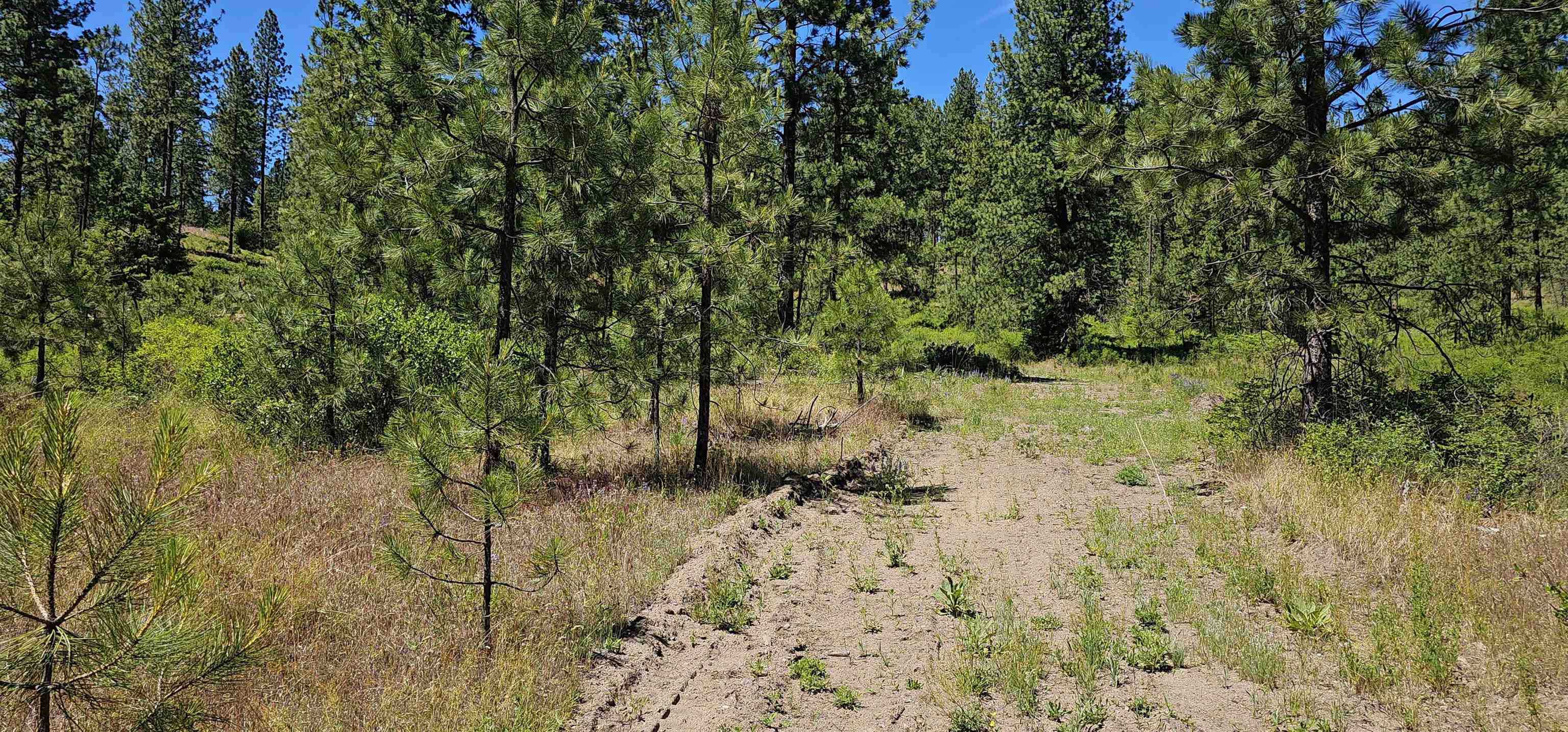 20X Lynx Rd - Photo 4