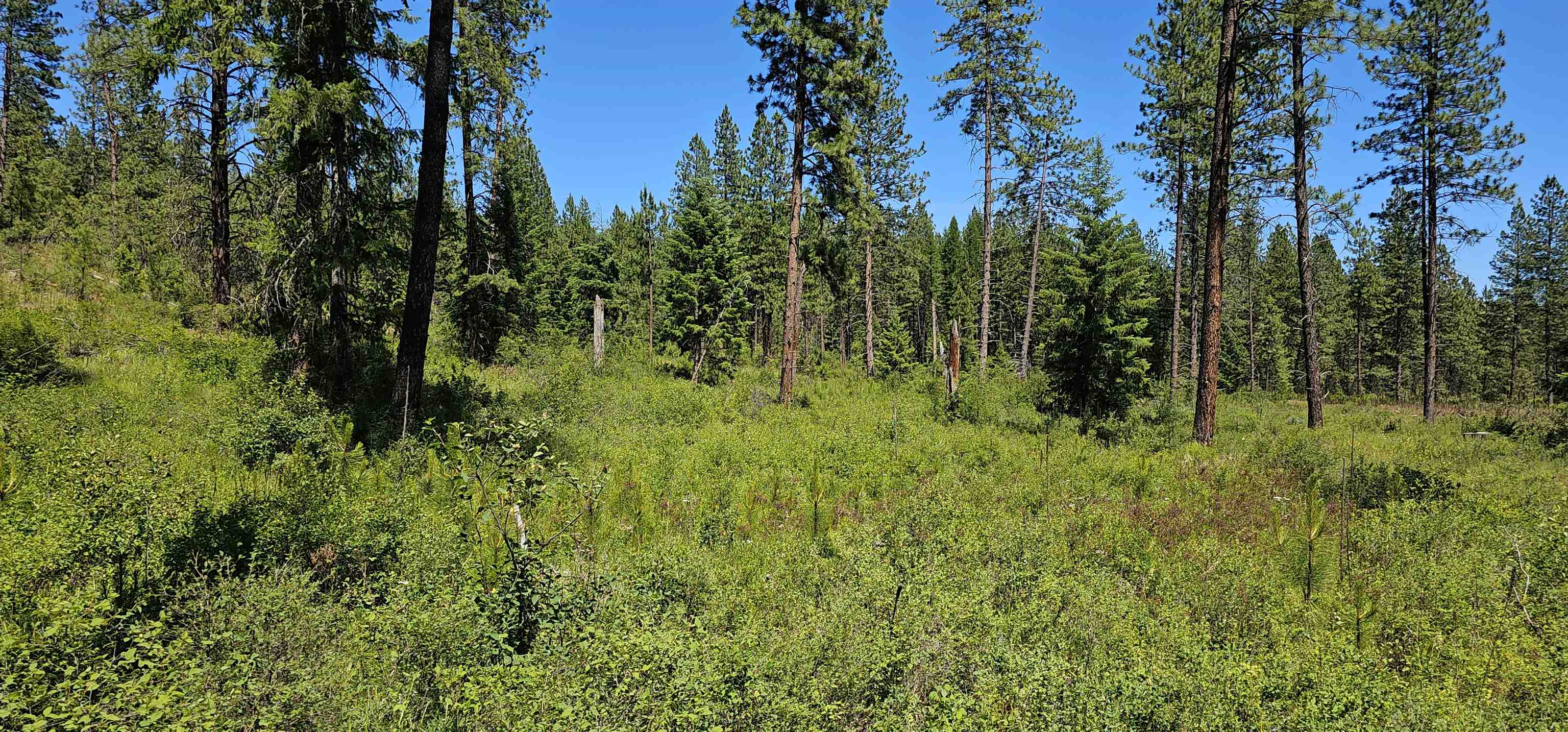 20X Lynx Rd - Photo 31