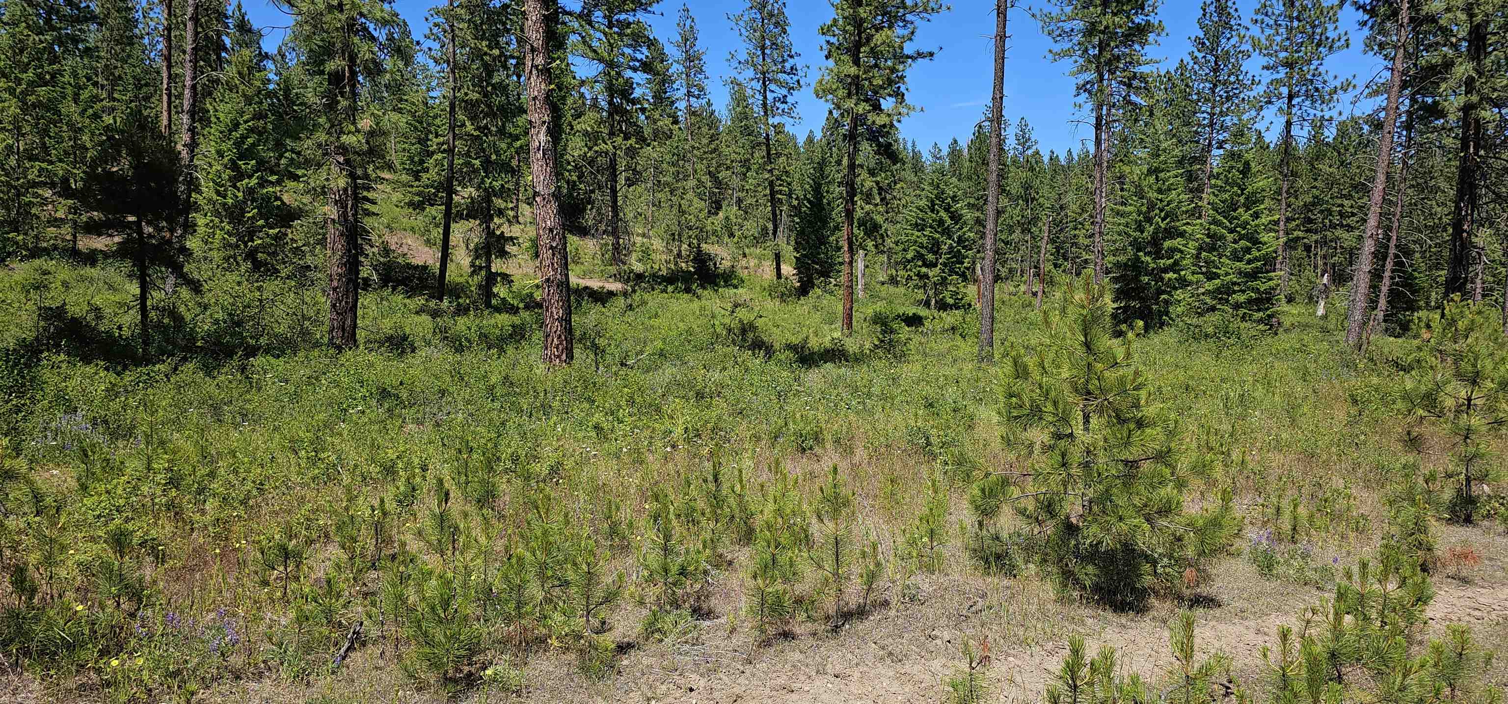 20X Lynx Rd - Photo 32