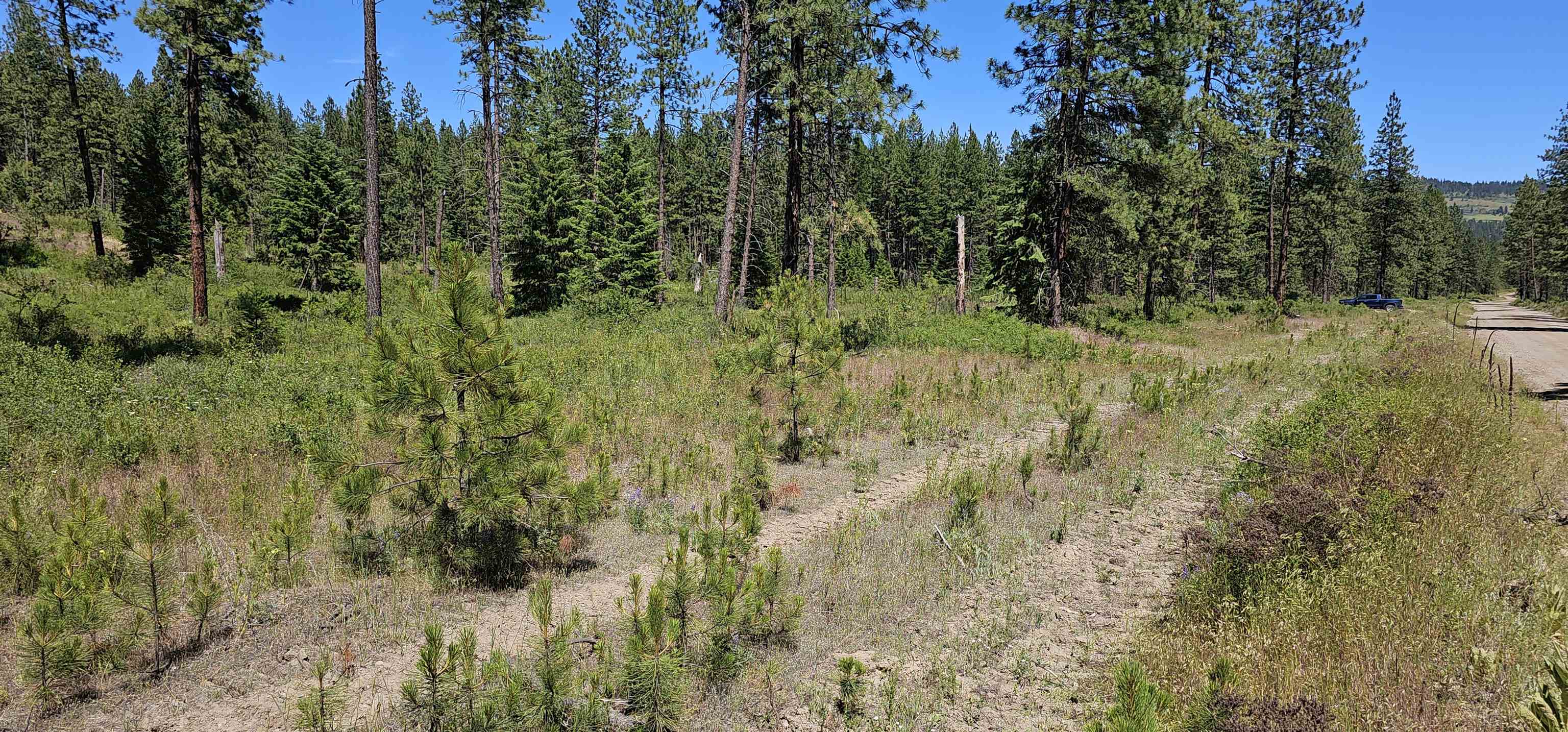 20X Lynx Rd - Photo 33