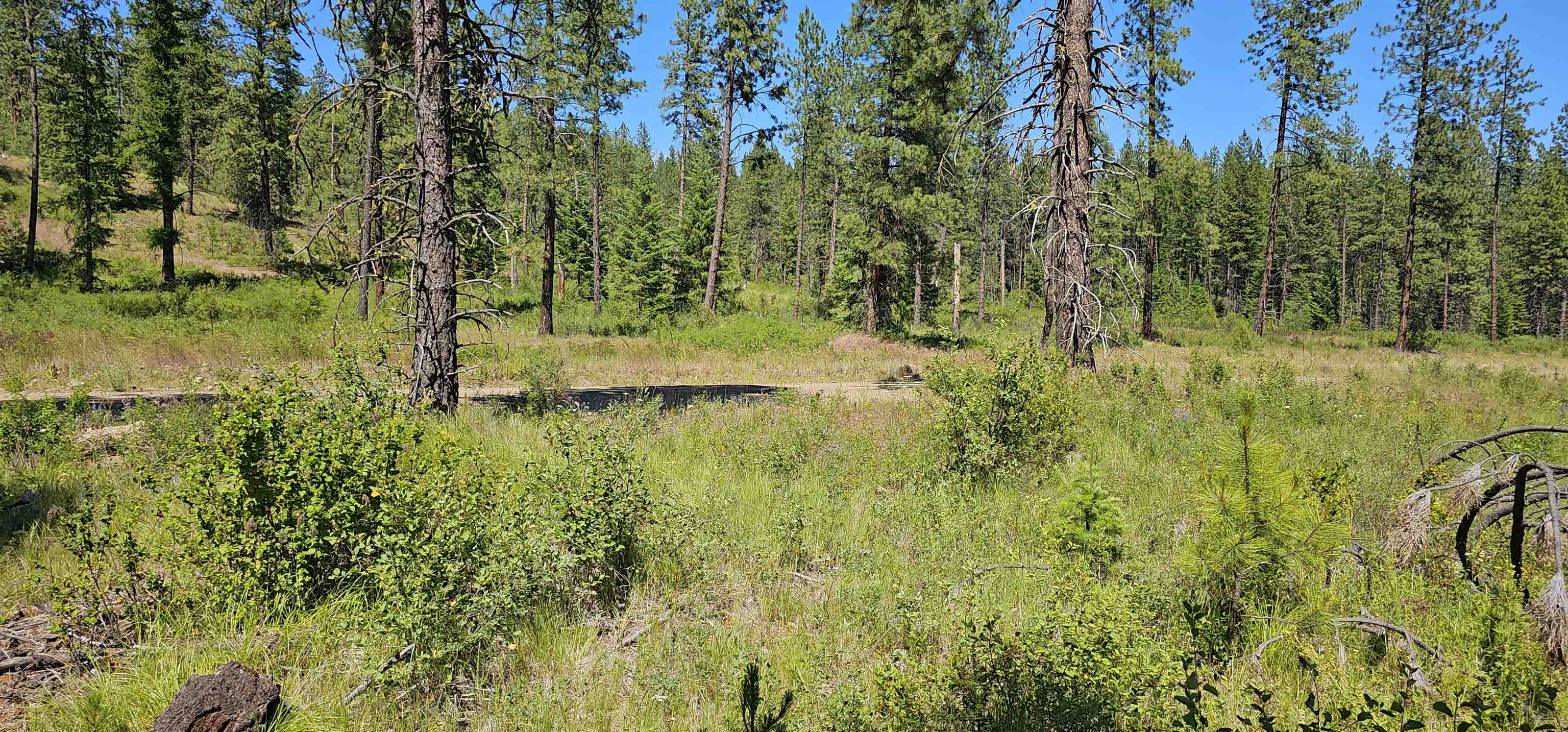 20X Lynx Rd - Photo 35