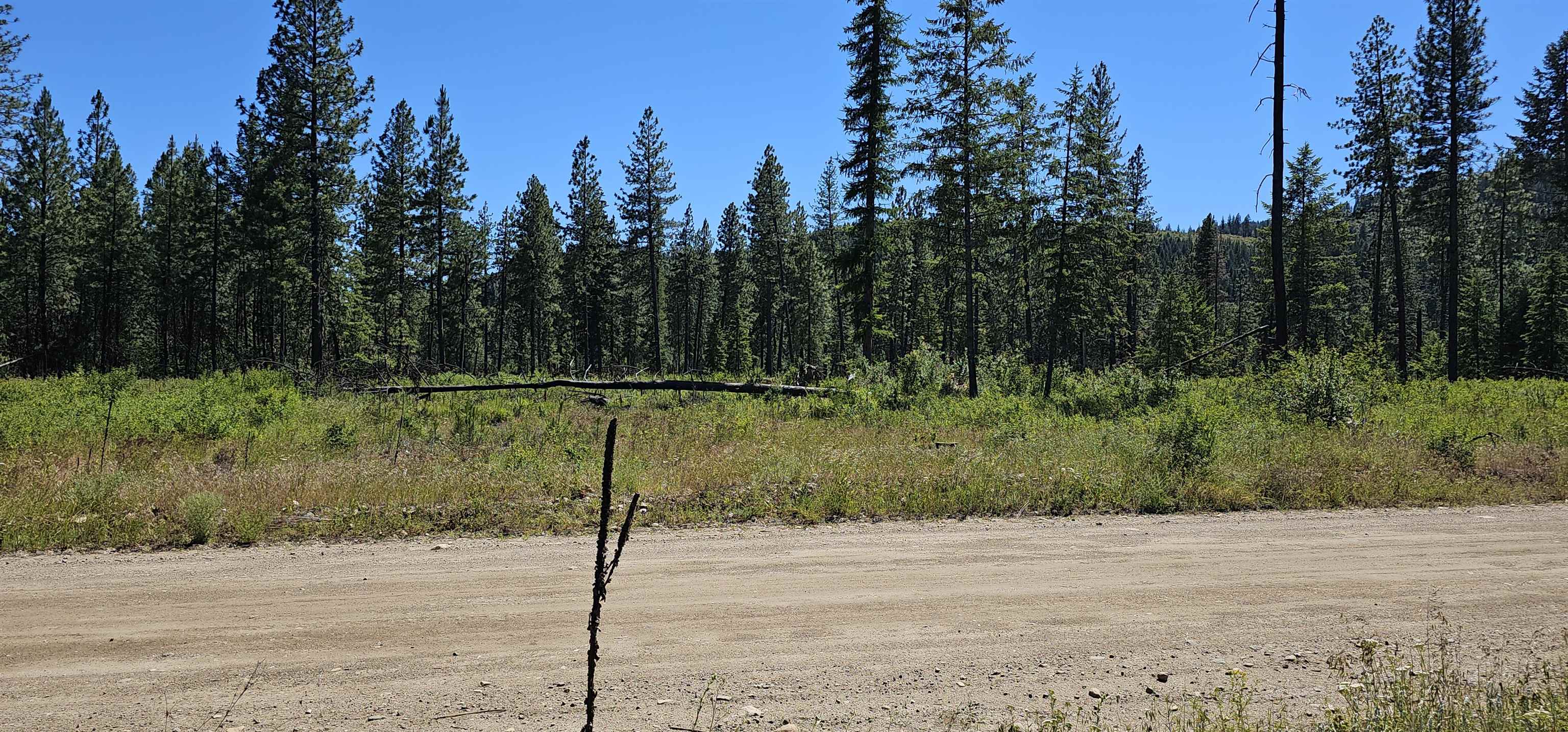 20X Lynx Rd - Photo 36