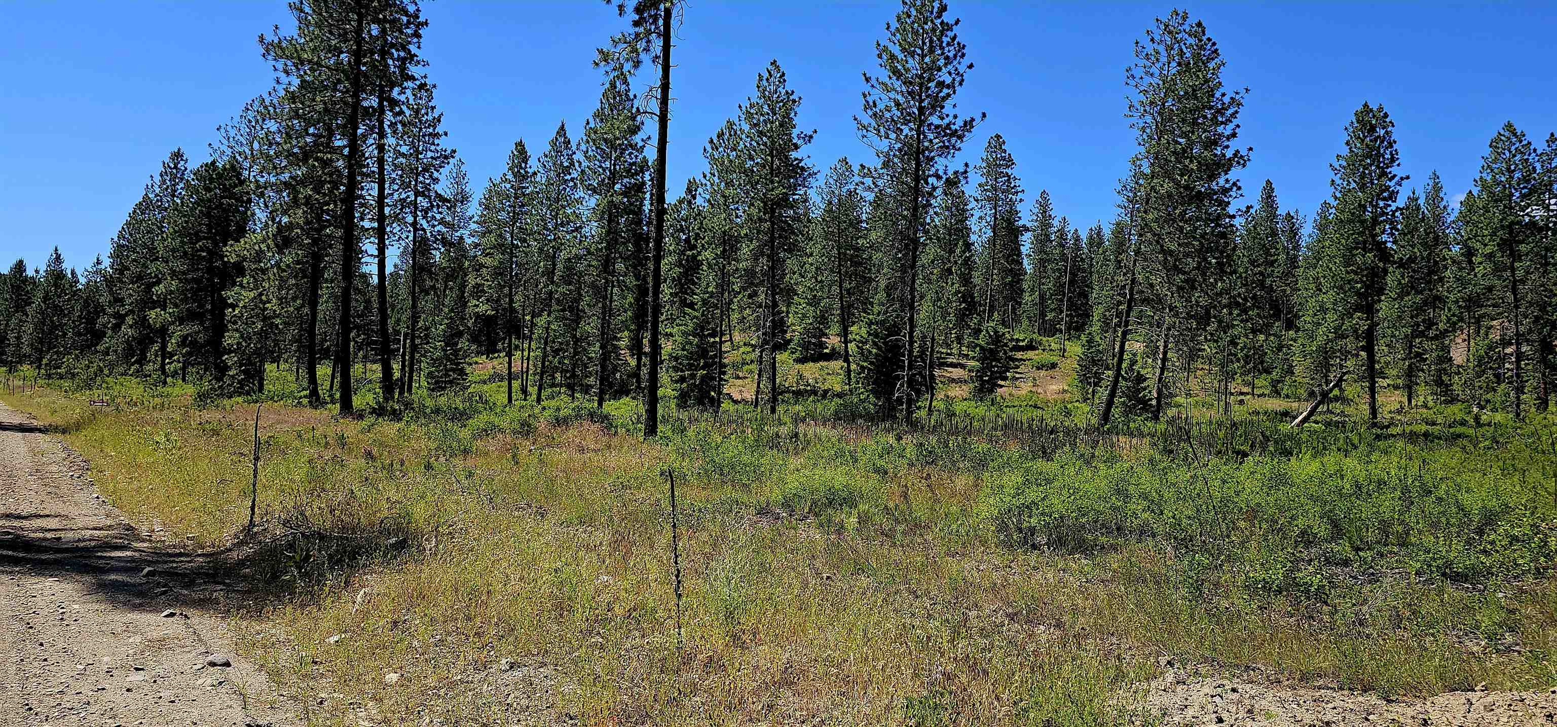 20X Lynx Rd - Photo 37