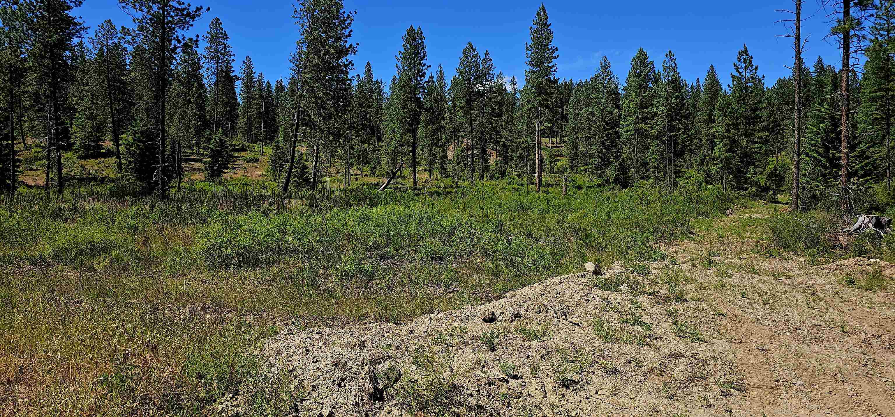 20X Lynx Rd - Photo 38