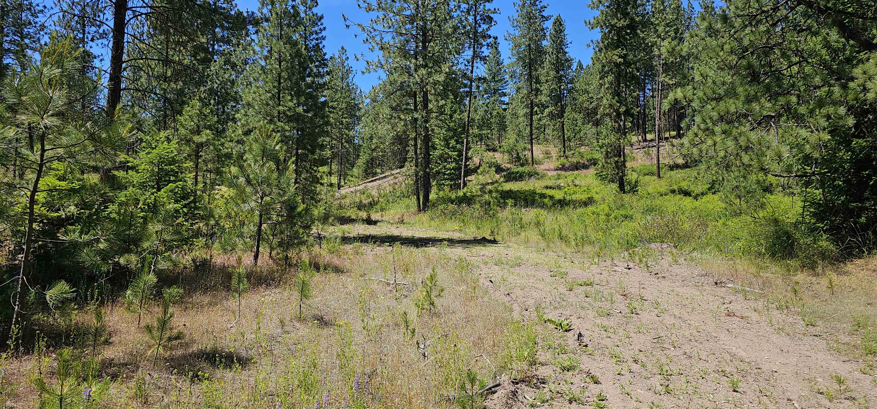20X Lynx Rd - Photo 5