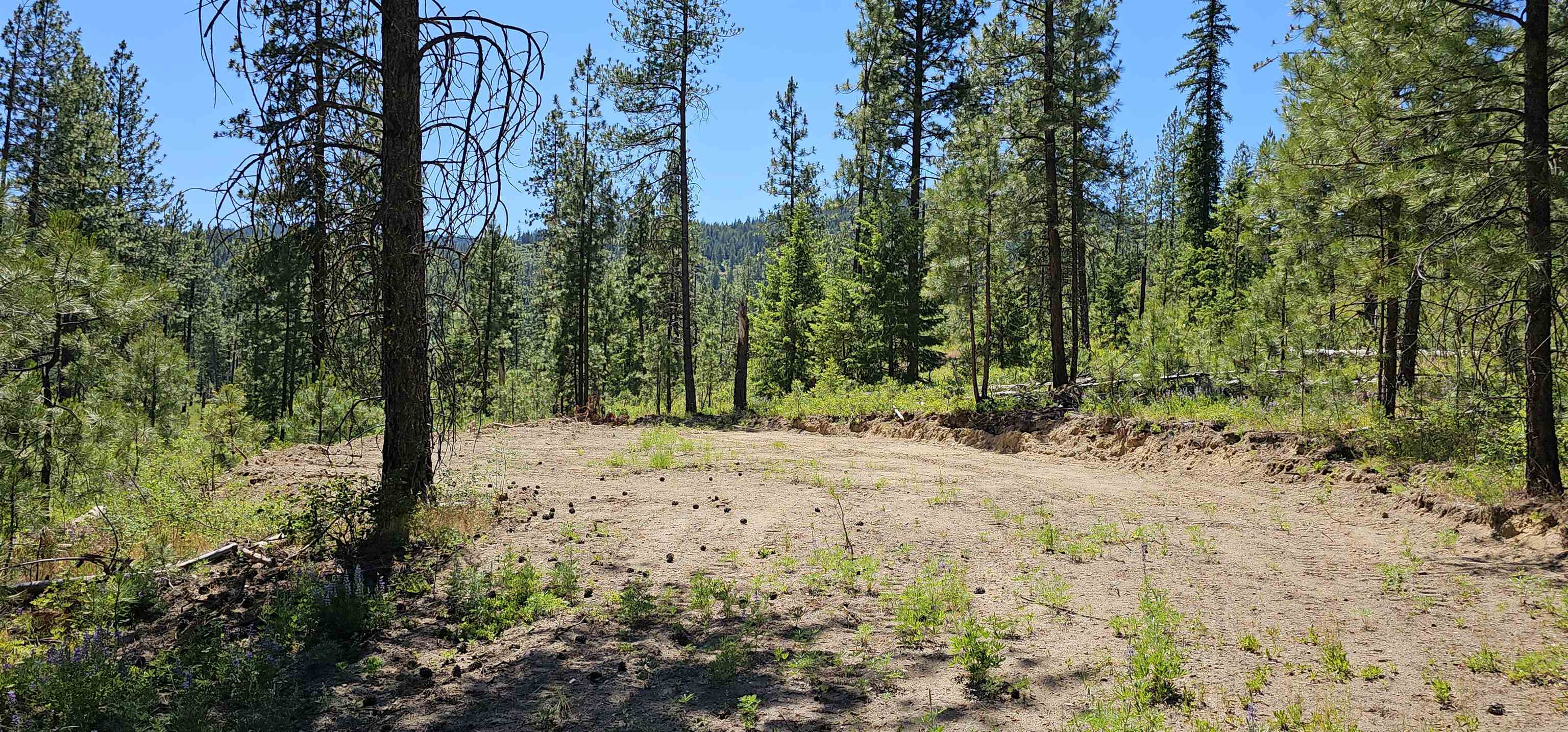 20X Lynx Rd - Photo 6