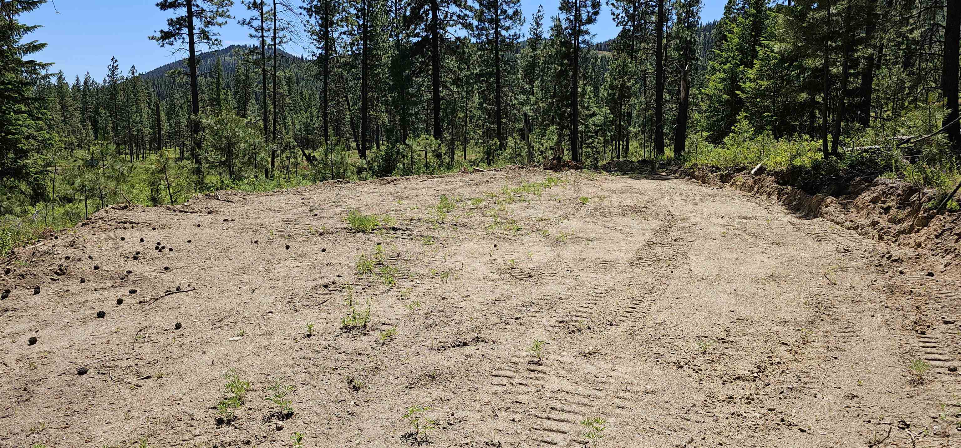 20X Lynx Rd - Photo 7