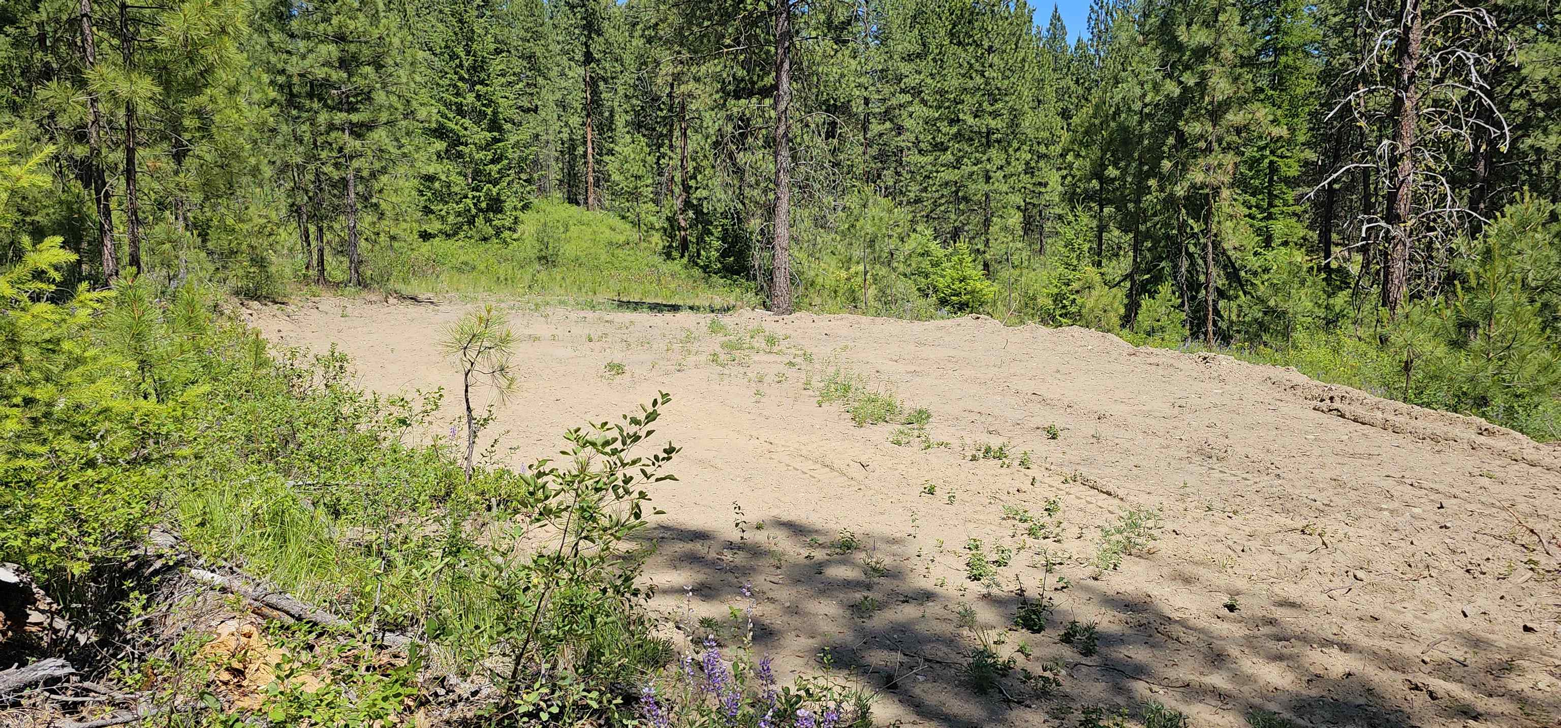20X Lynx Rd - Photo 8