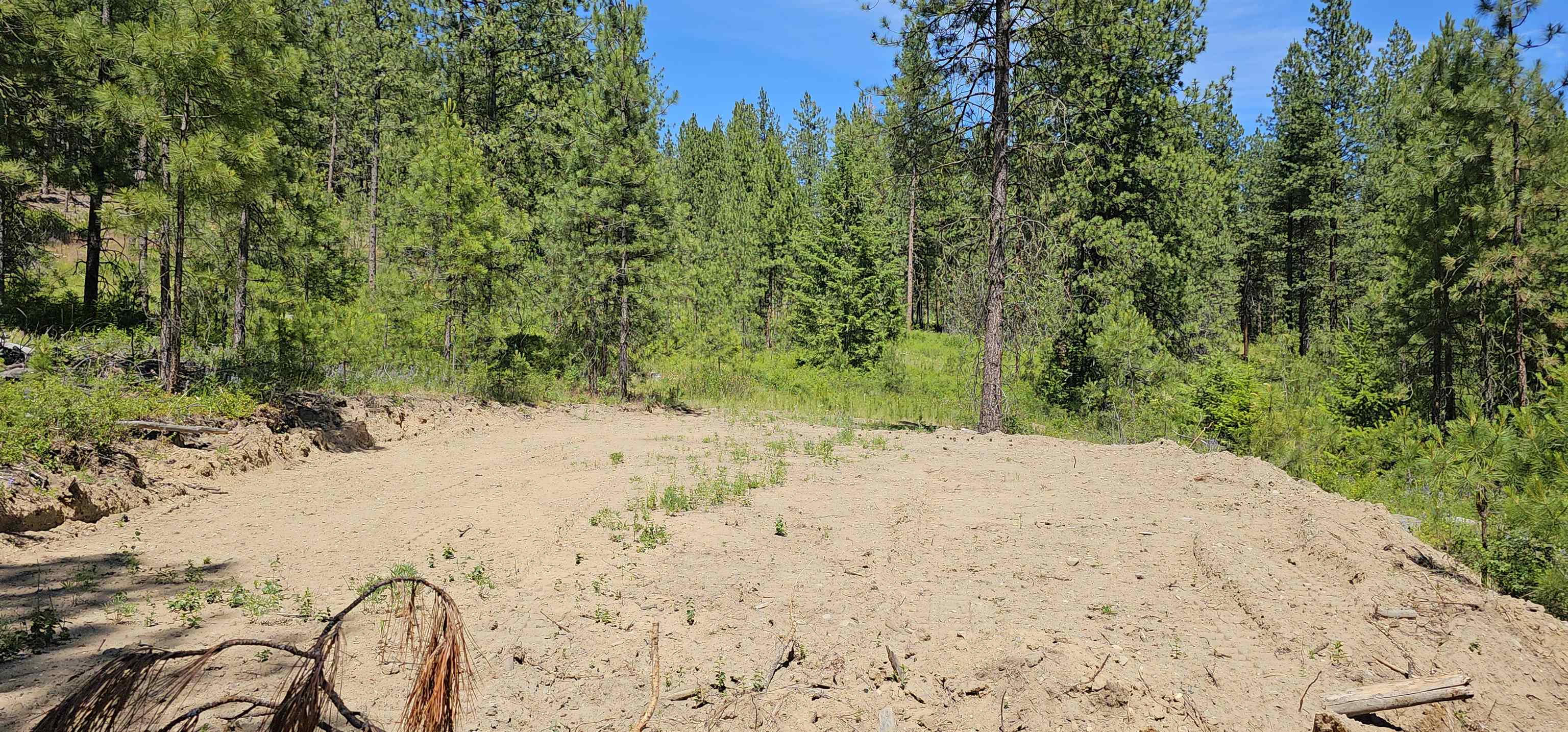 20X Lynx Rd - Photo 9