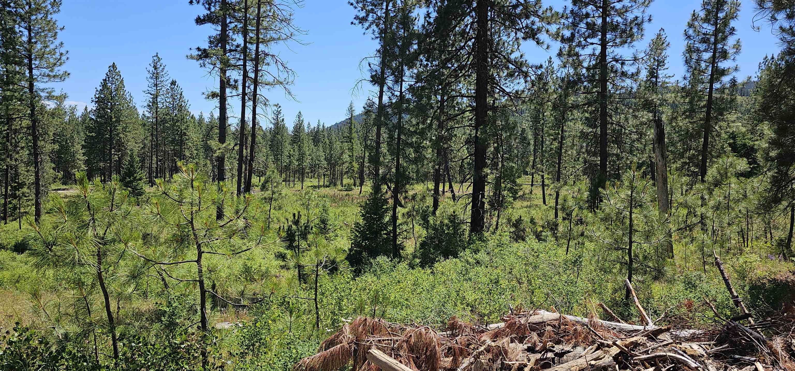 20X Lynx Rd - Photo 10