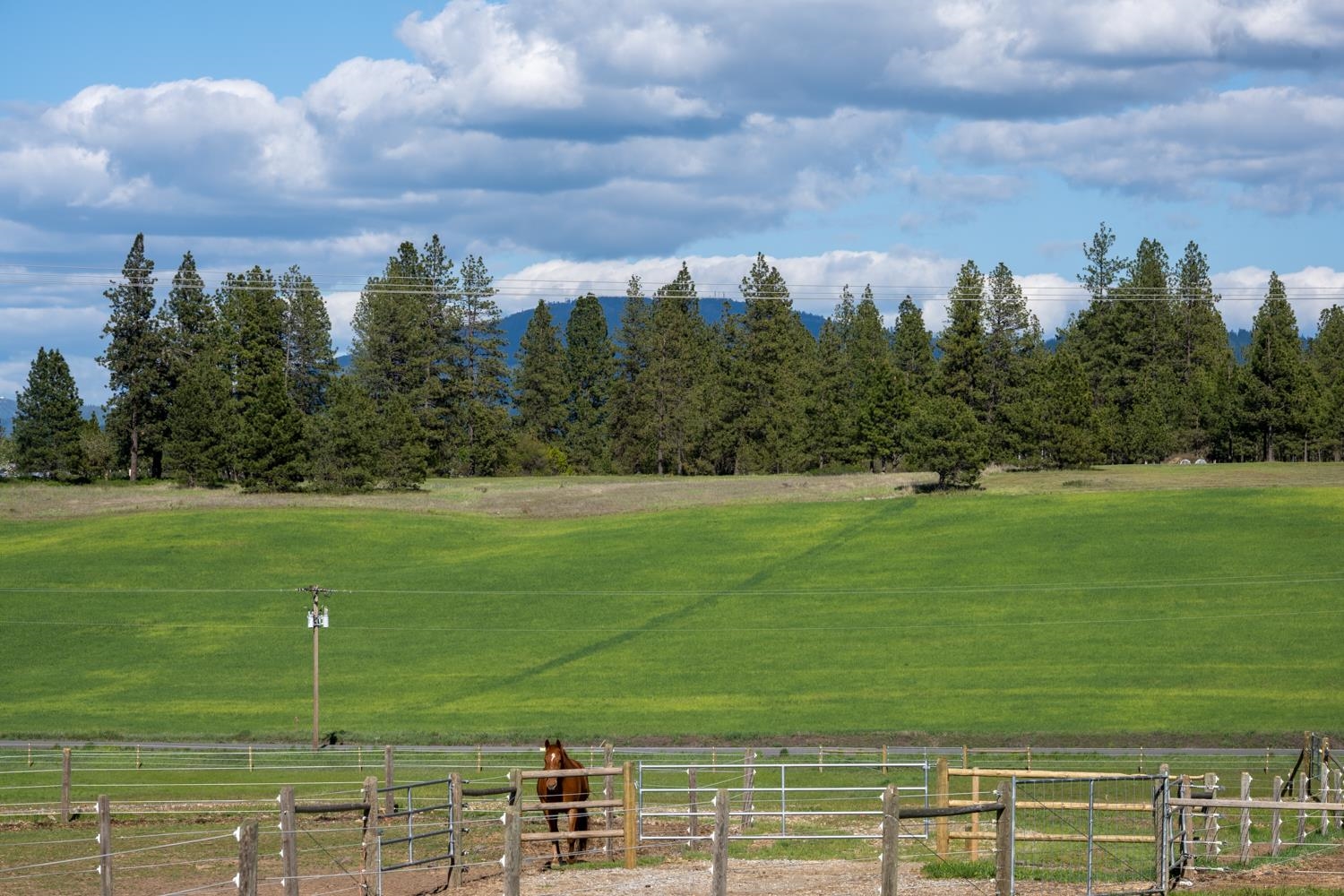 10409 E Palouse Hwy - Photo 6