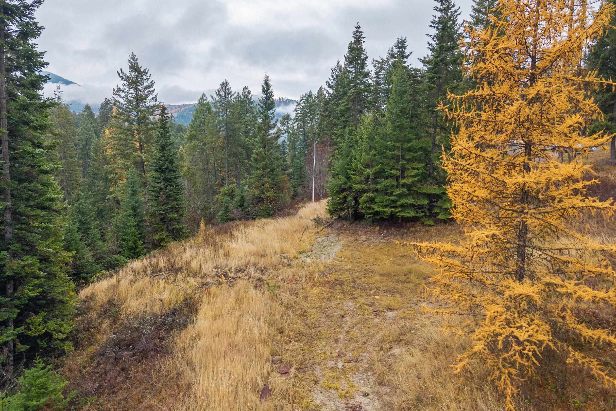 717 C Finley Gulch Rd - Photo 1
