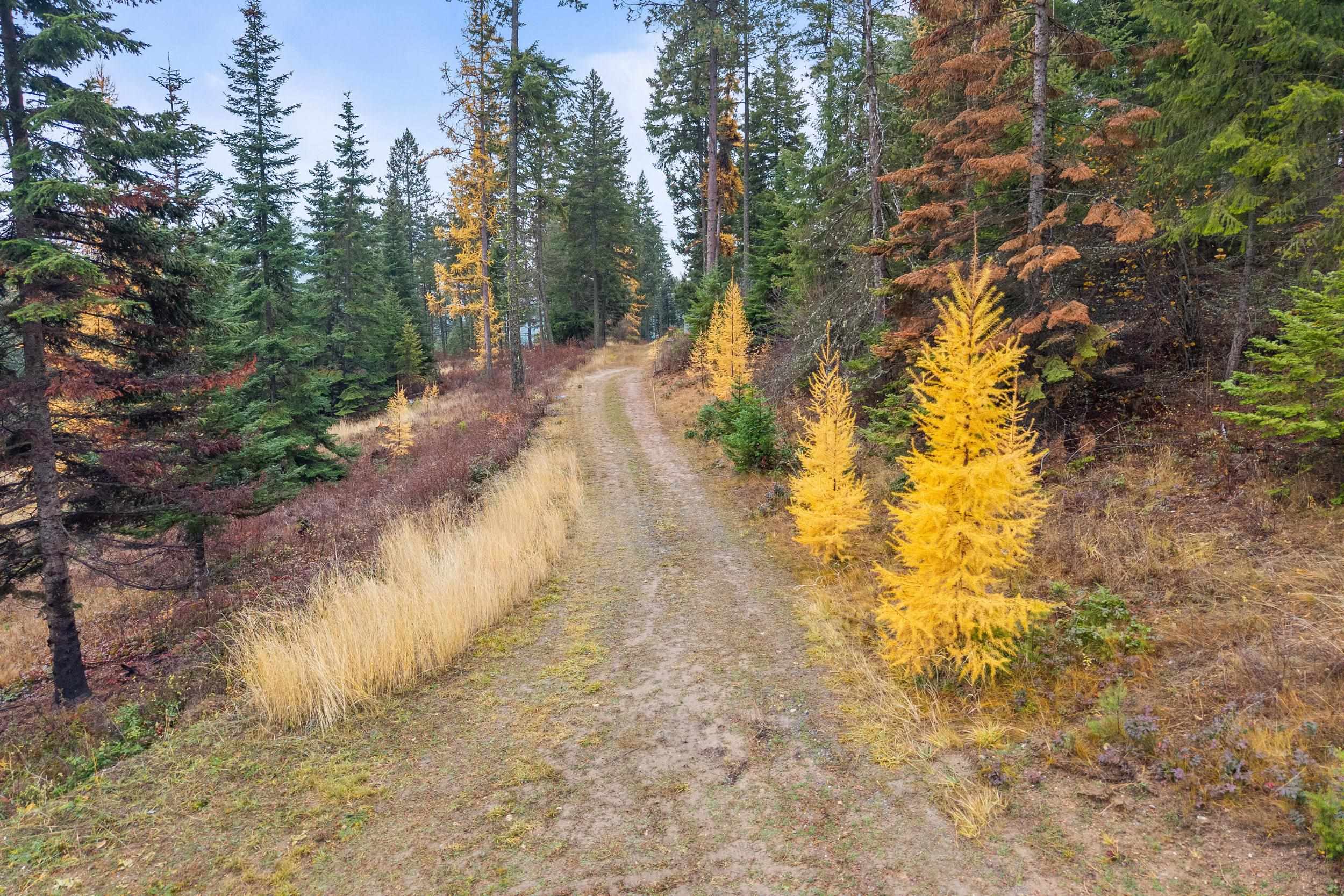 717 C Finley Gulch Rd - Photo 2