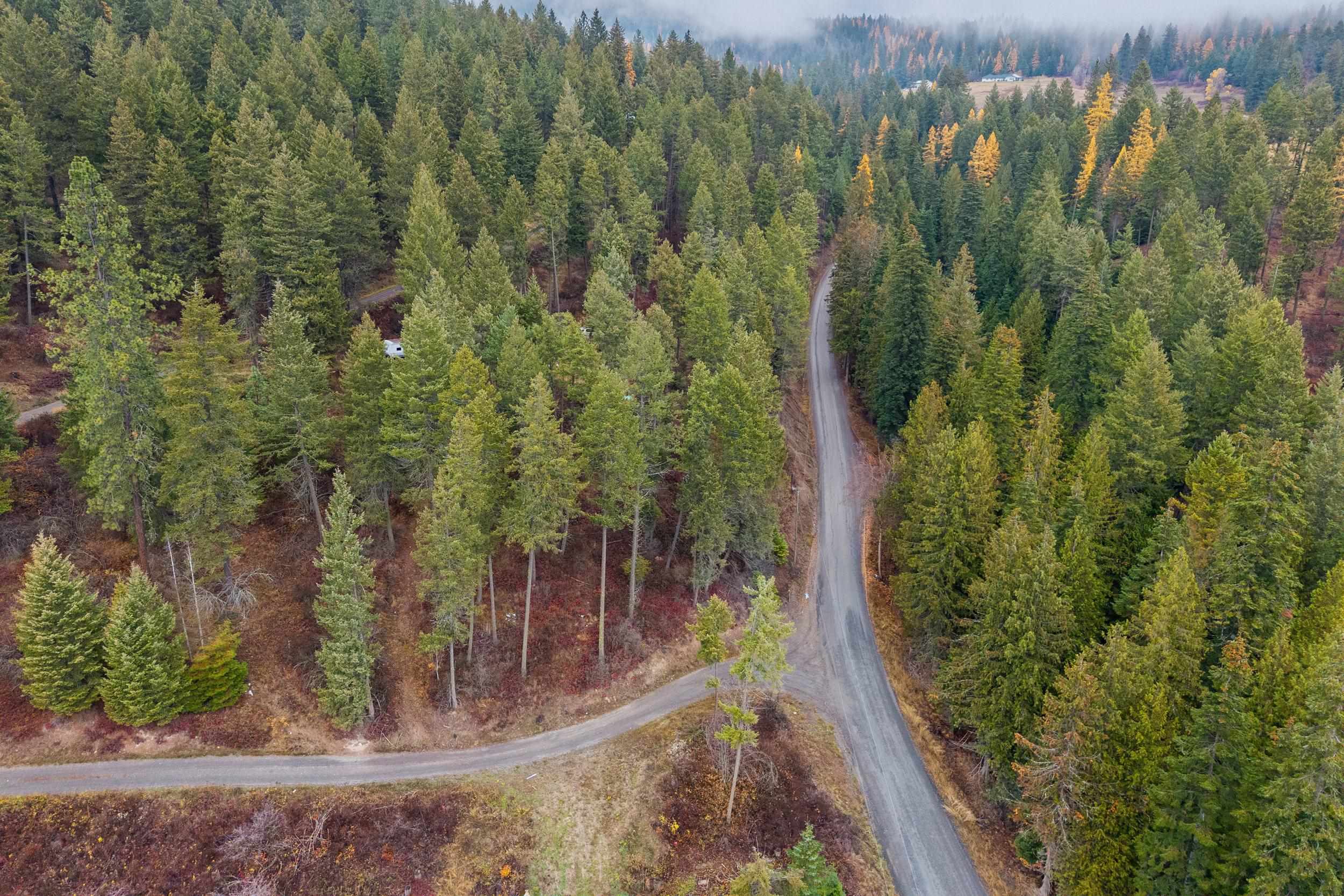 717 C Finley Gulch Rd - Photo 3