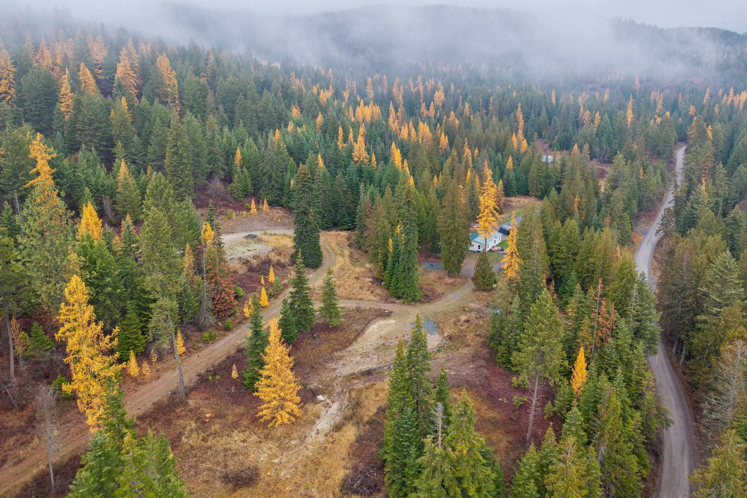 717 C Finley Gulch Rd - Photo 4