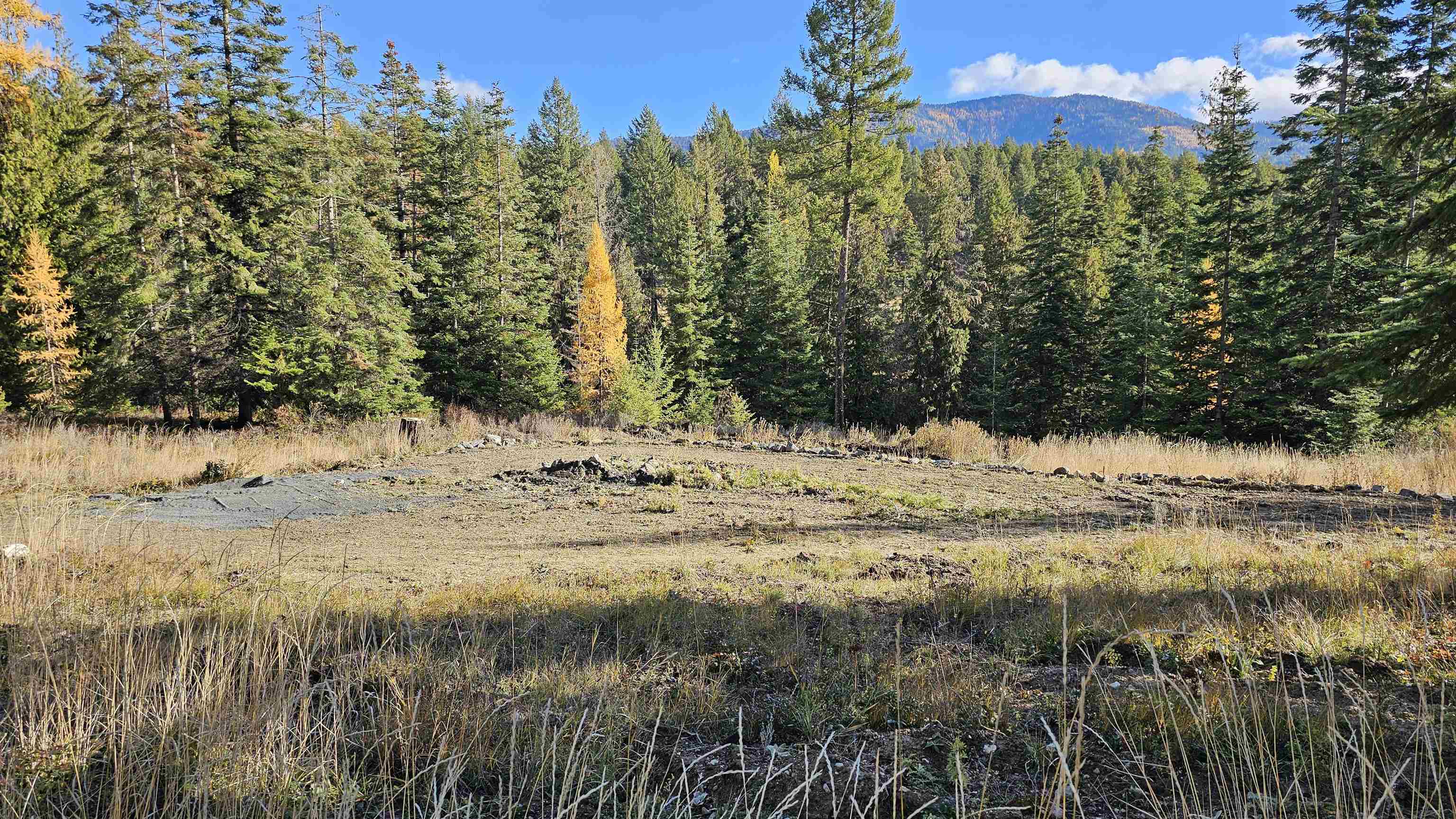 717 C Finley Gulch Rd - Photo 5