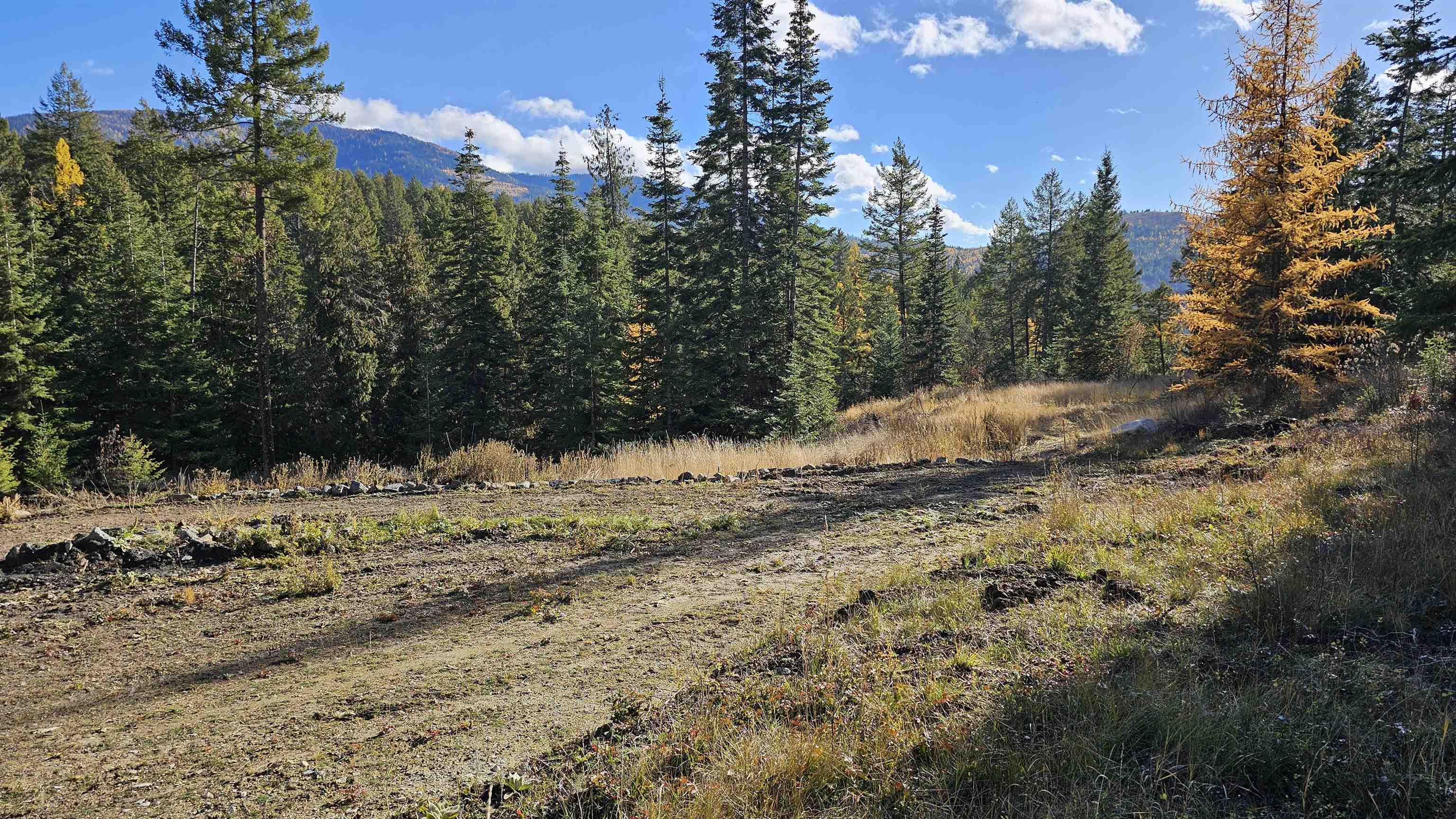 717 C Finley Gulch Rd - Photo 6