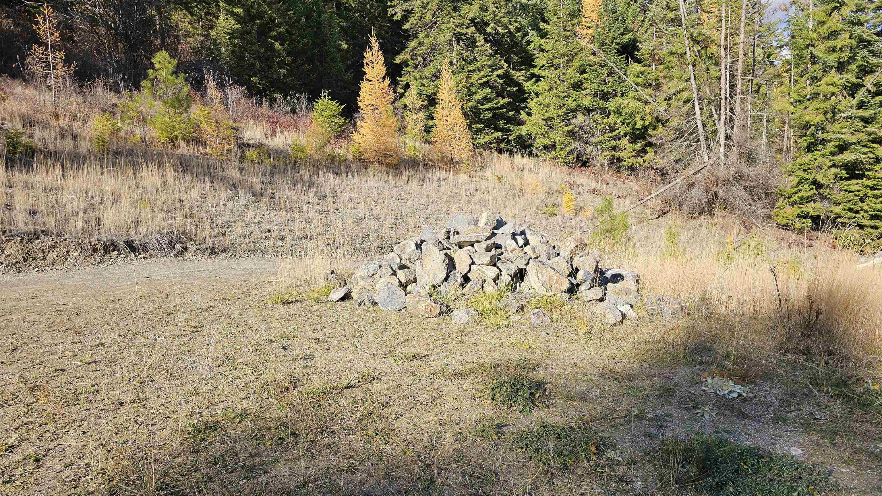 717 C Finley Gulch Rd - Photo 7