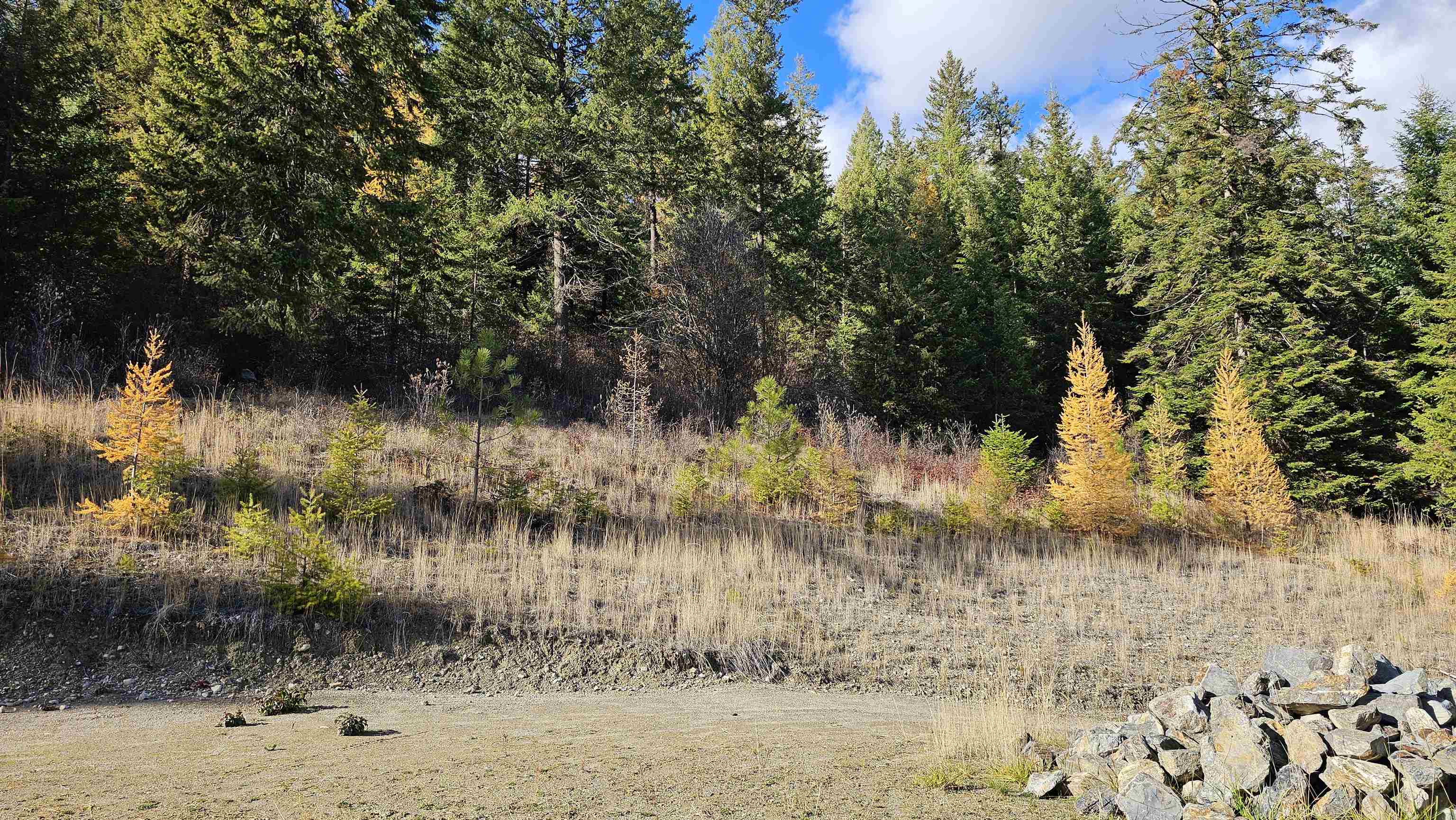 717 C Finley Gulch Rd - Photo 8