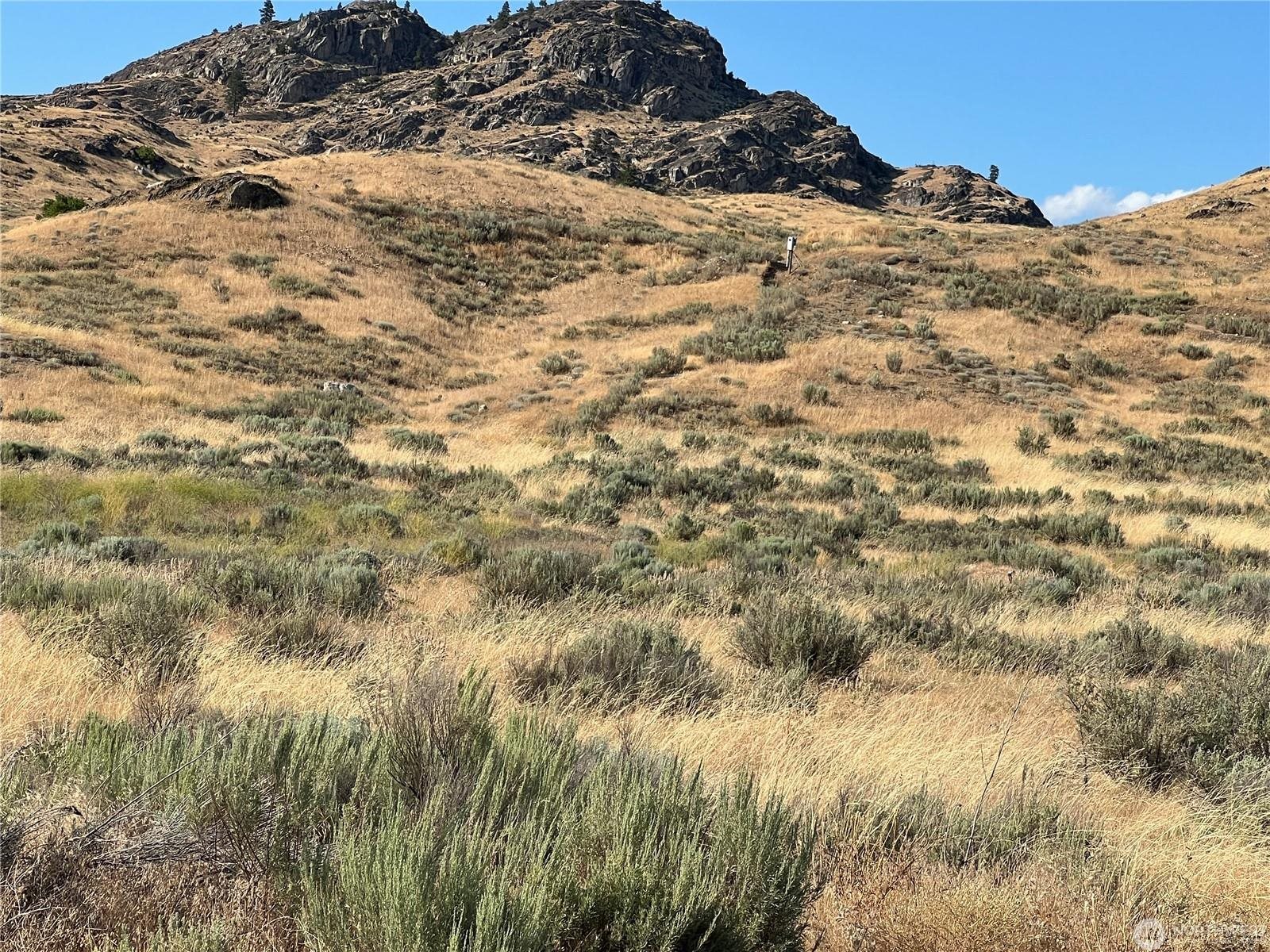 Lot 3 Gunsmoke Rd - Photo 1