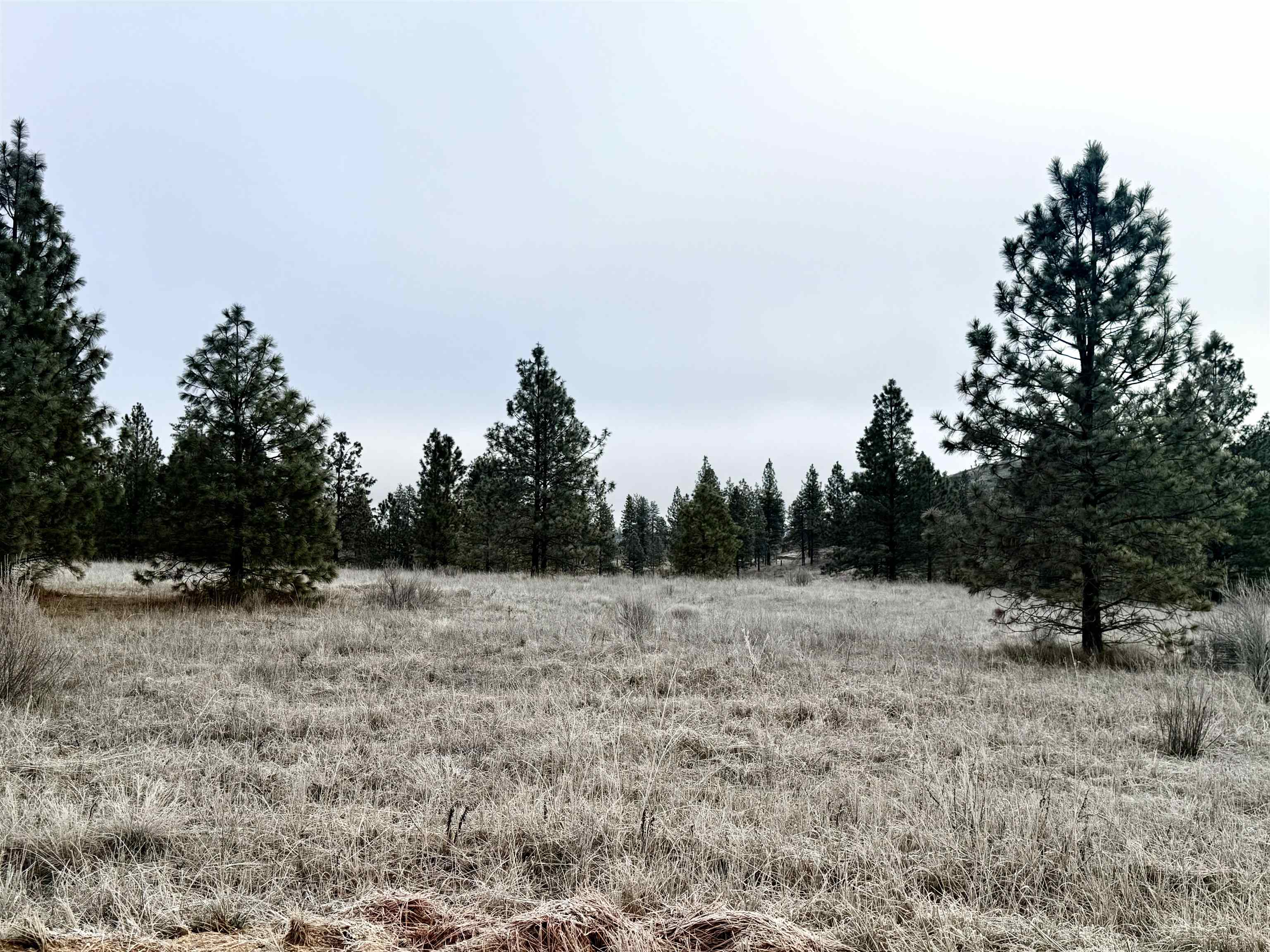 0 N Cayuse Cove Rd - Photo 1