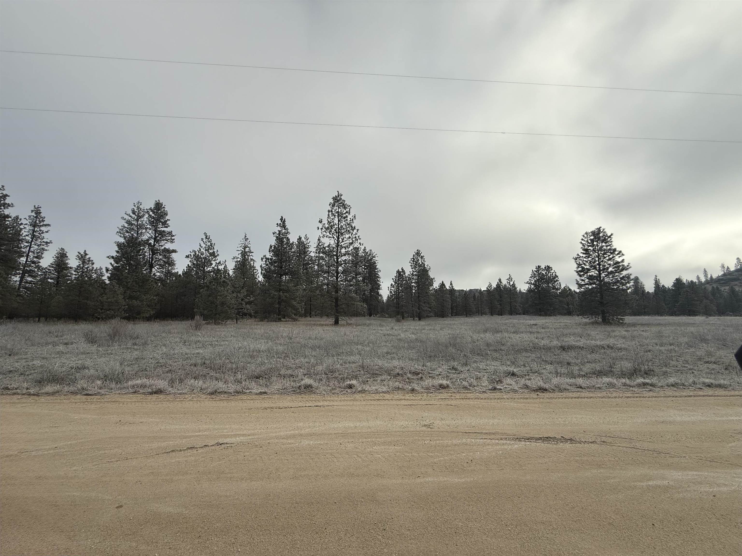0 N Cayuse Cove Rd - Photo 2