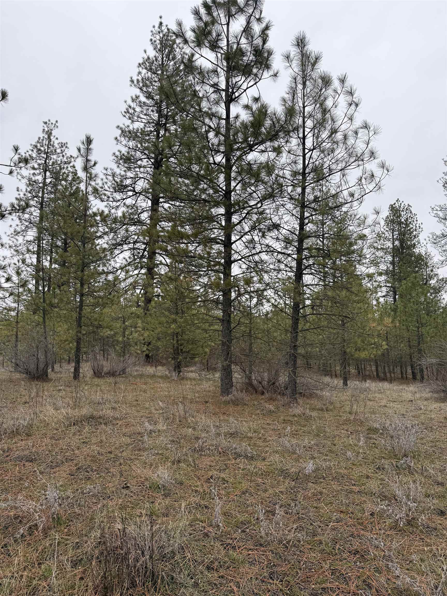 0 N Cayuse Cove Rd - Photo 13