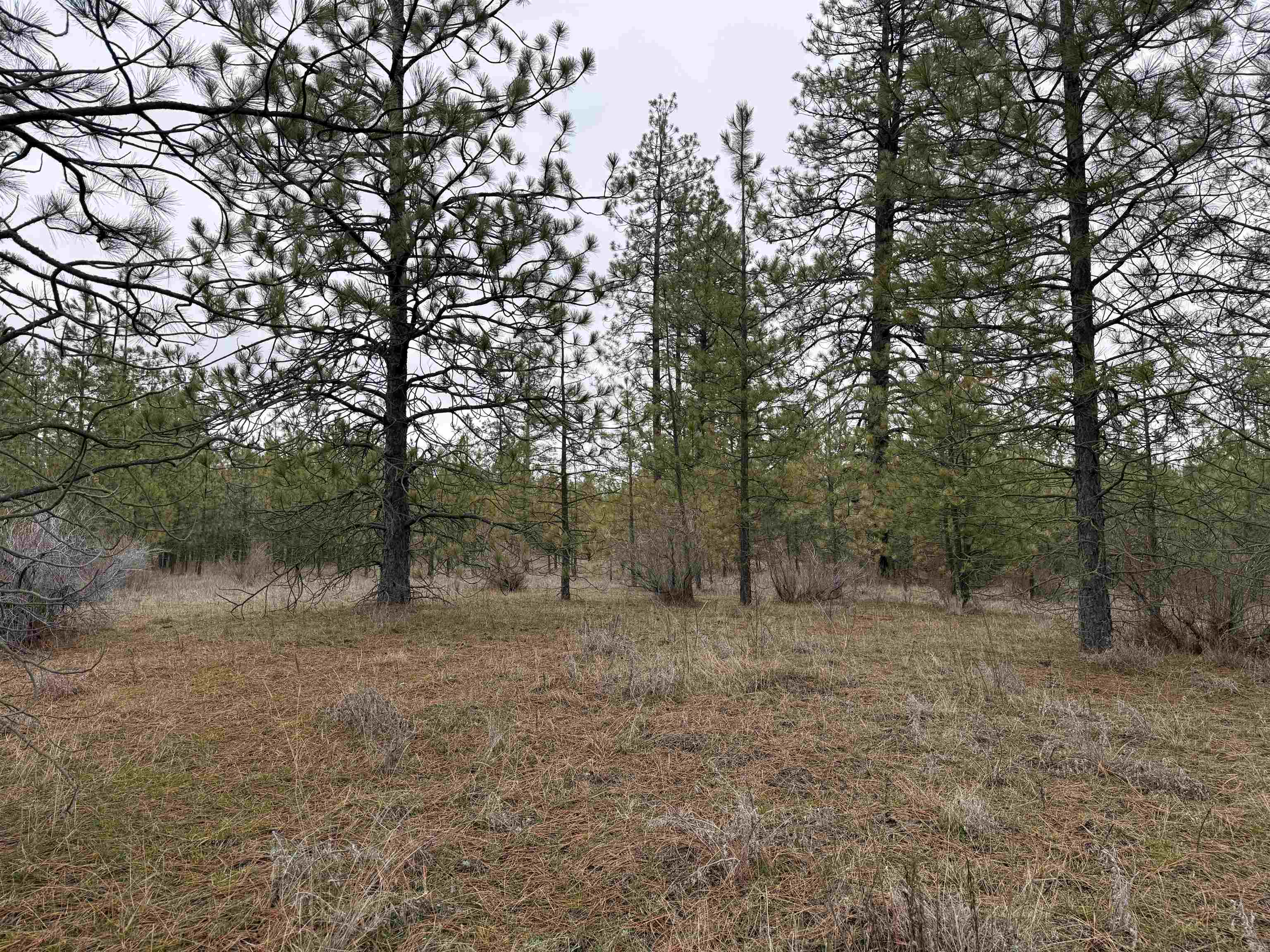 0 N Cayuse Cove Rd - Photo 15