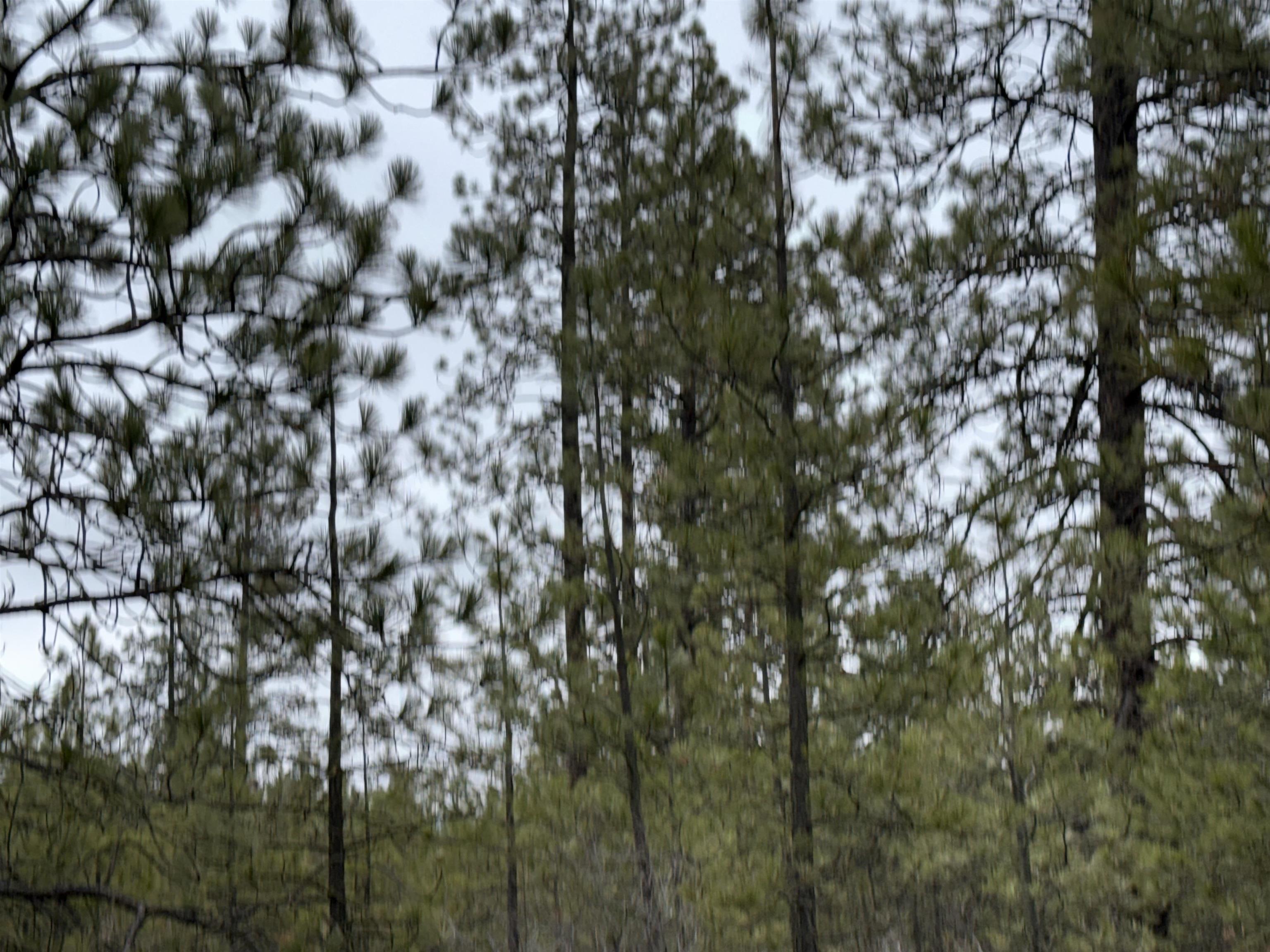 0 N Cayuse Cove Rd - Photo 16