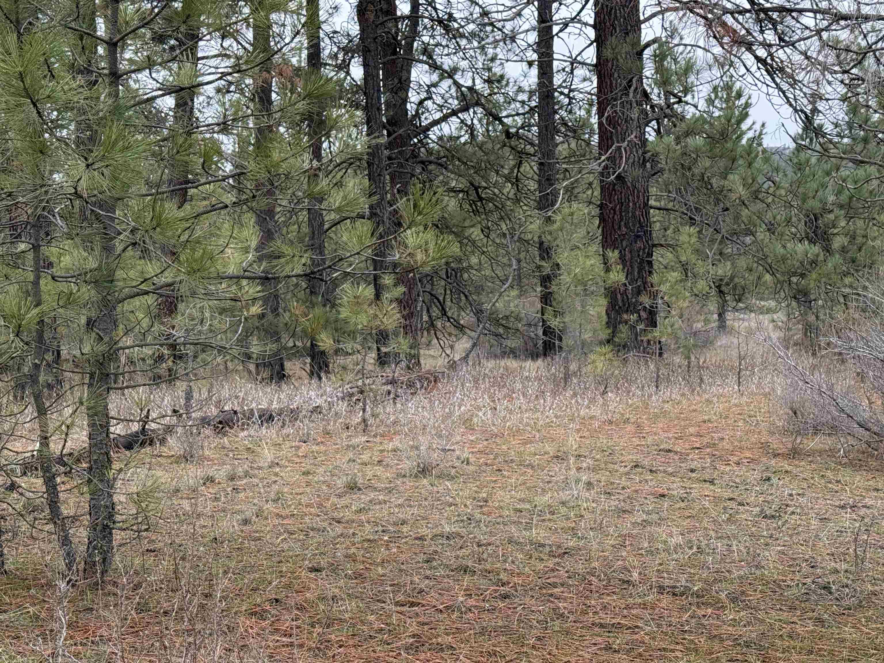 0 N Cayuse Cove Rd - Photo 17