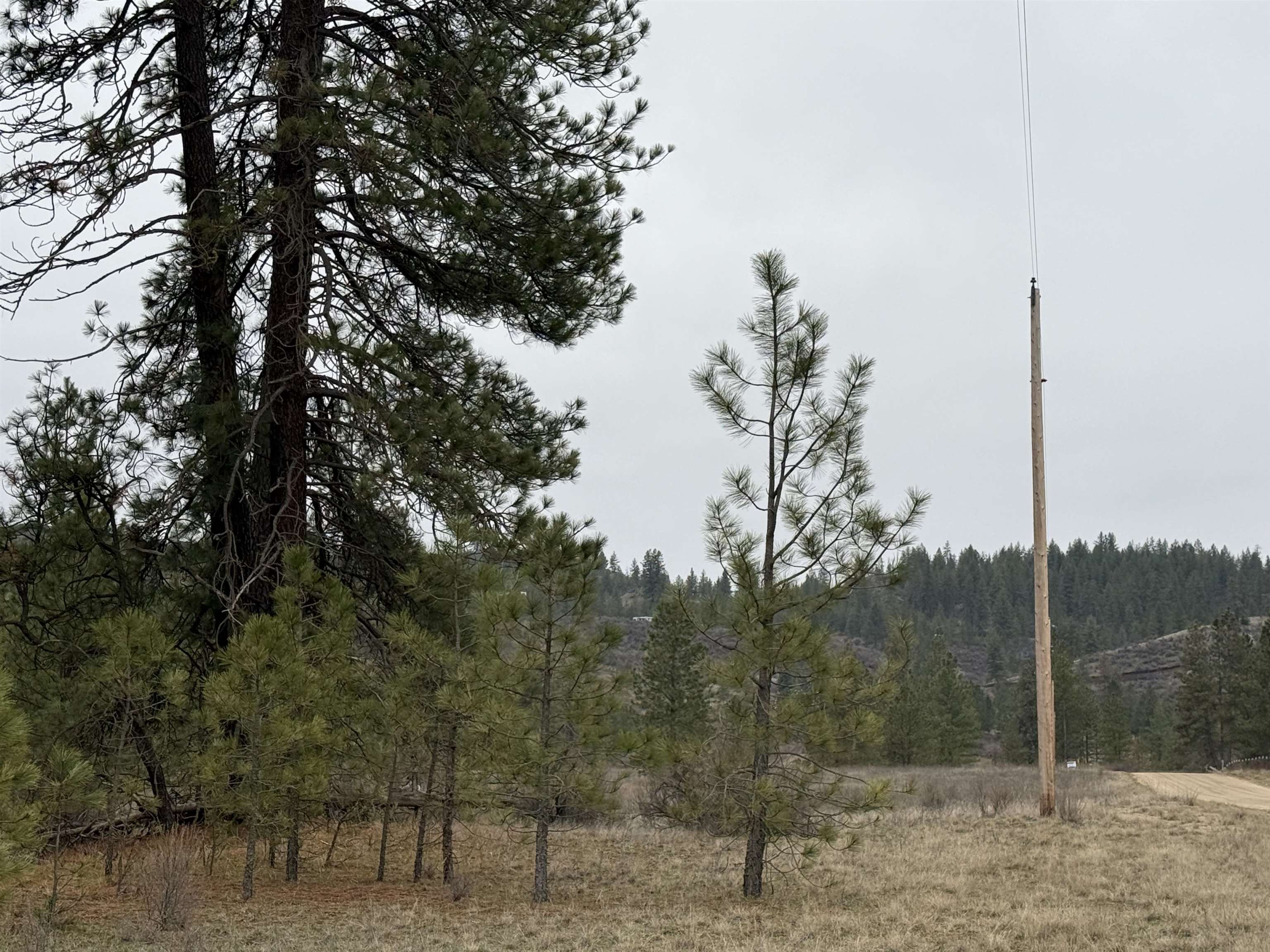 0 N Cayuse Cove Rd - Photo 18