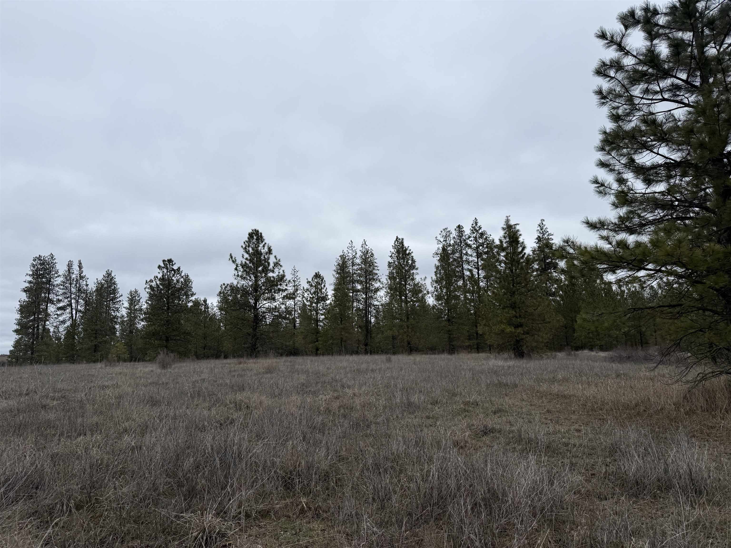 0 N Cayuse Cove Rd - Photo 19