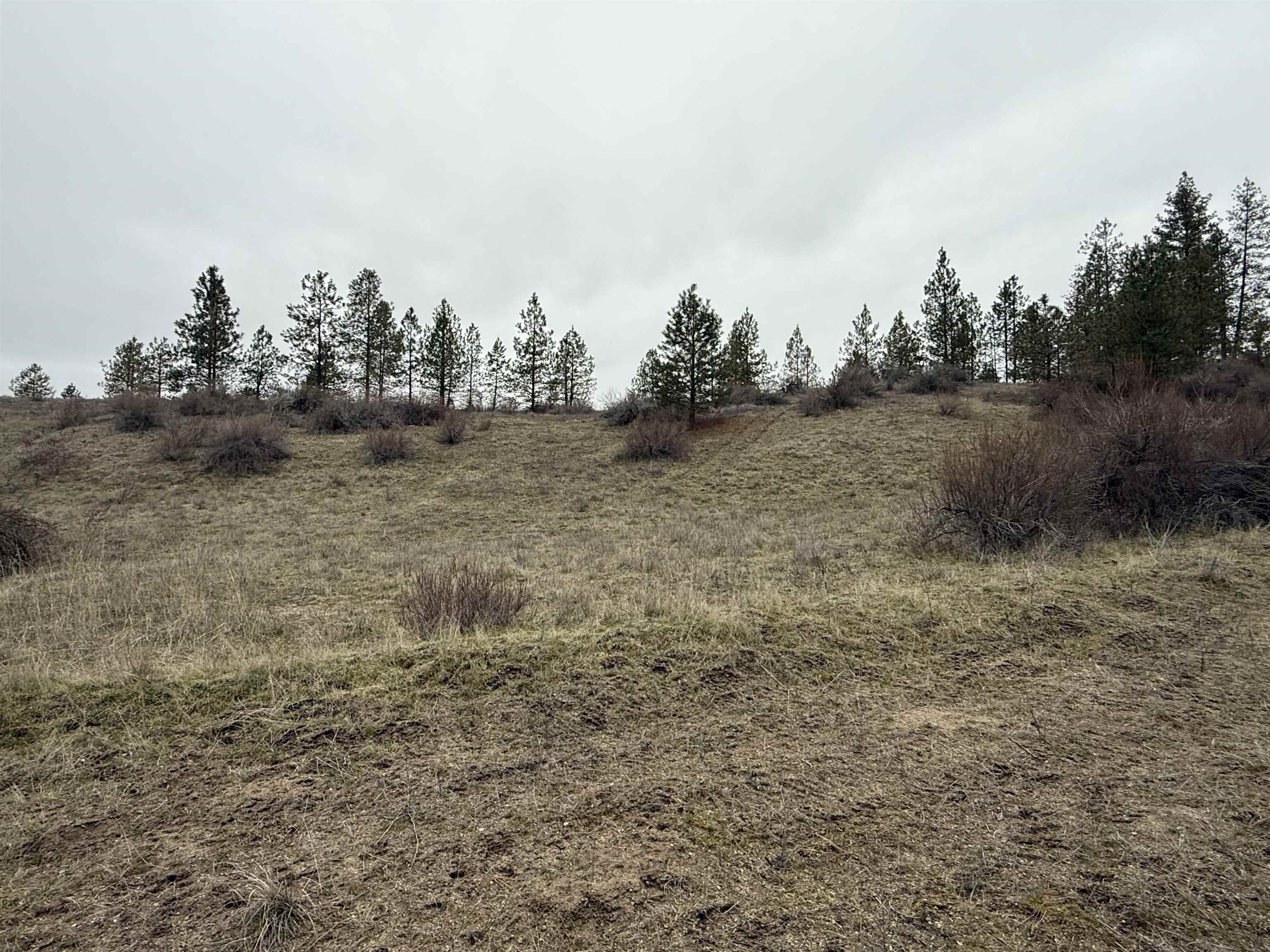 0 N Cayuse Cove Rd - Photo 20