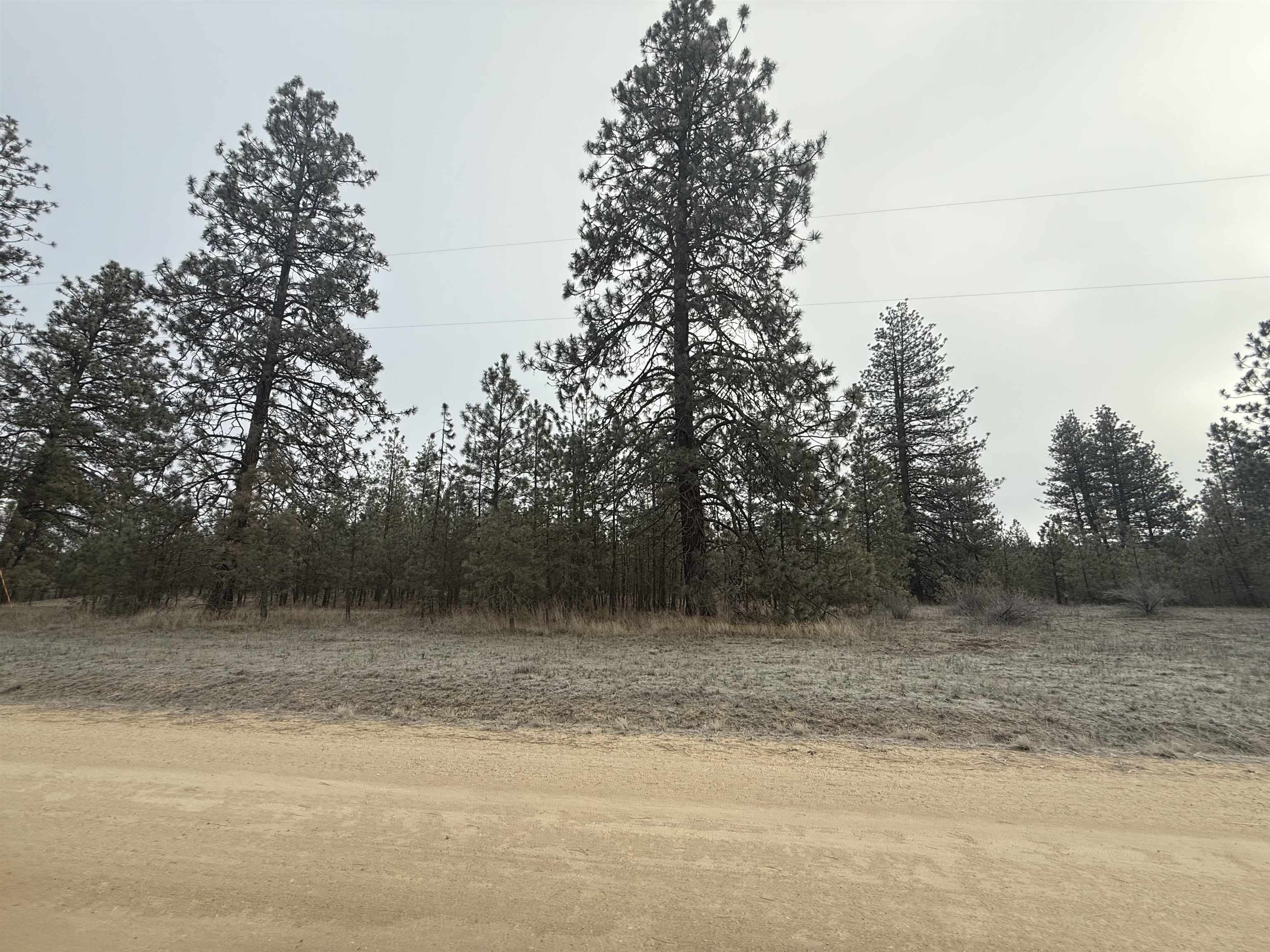 0 N Cayuse Cove Rd - Photo 3
