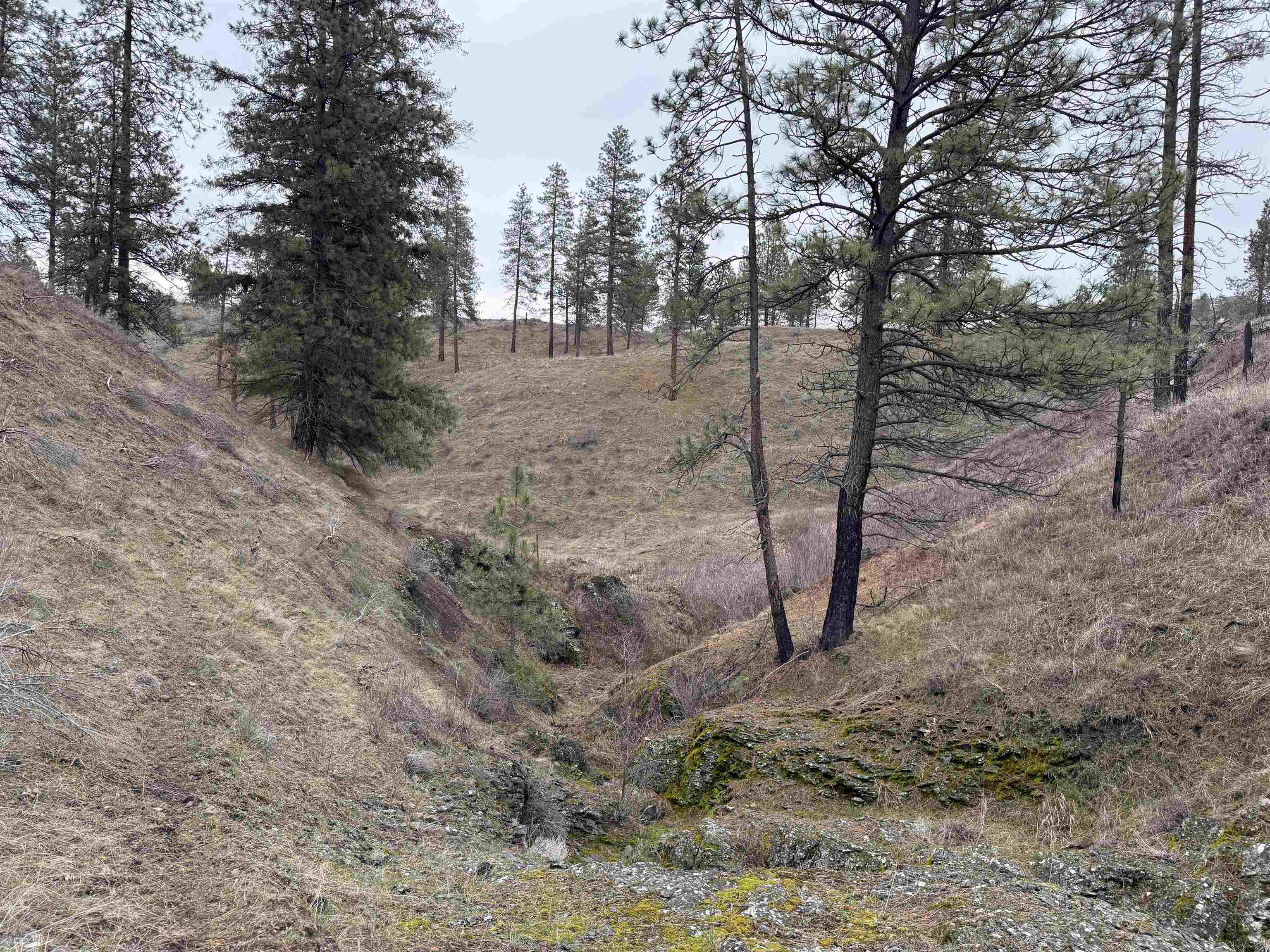 0 N Cayuse Cove Rd - Photo 22