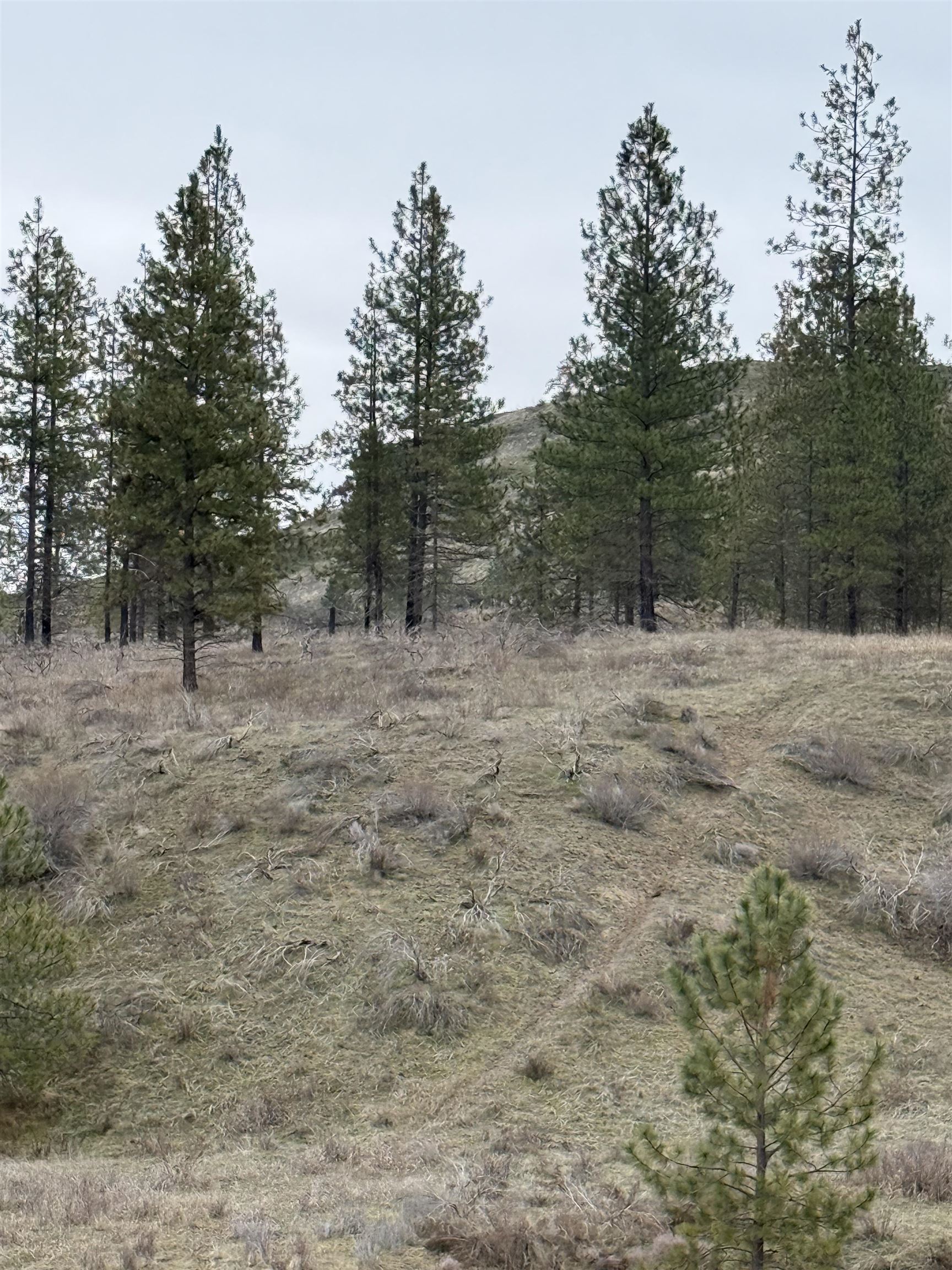 0 N Cayuse Cove Rd - Photo 24