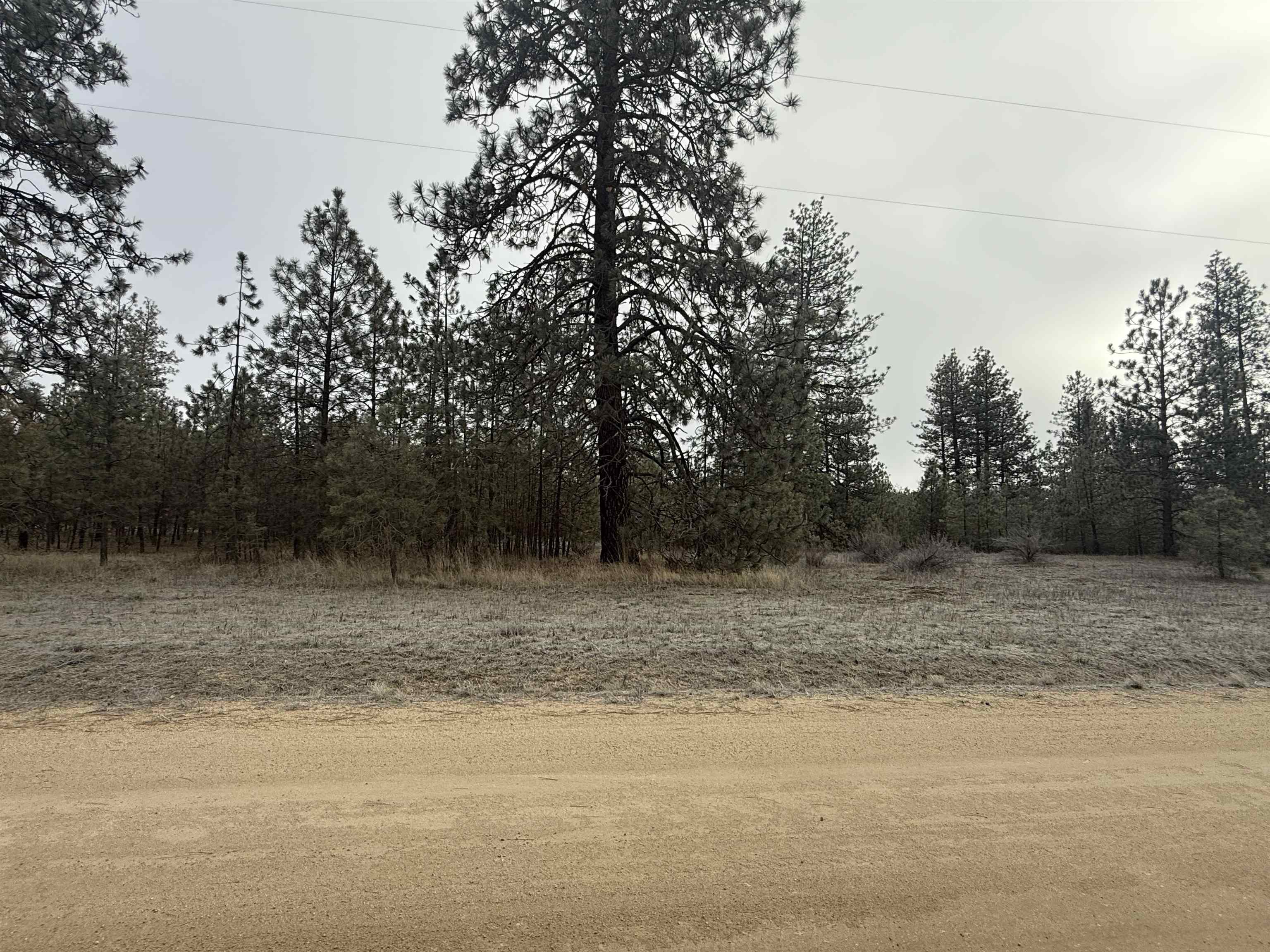 0 N Cayuse Cove Rd - Photo 5