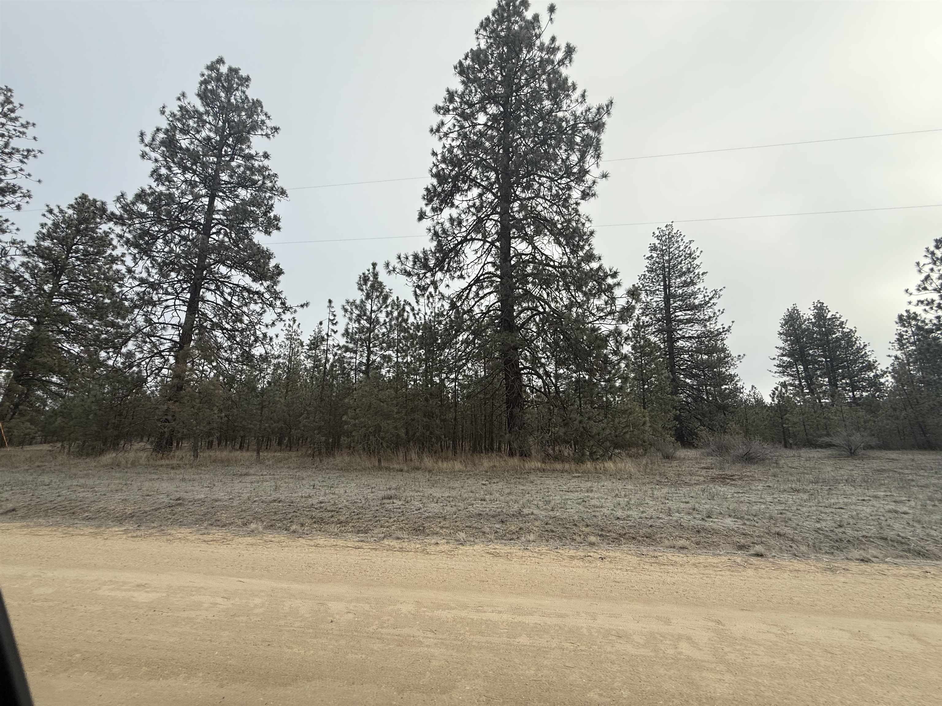 0 N Cayuse Cove Rd - Photo 6