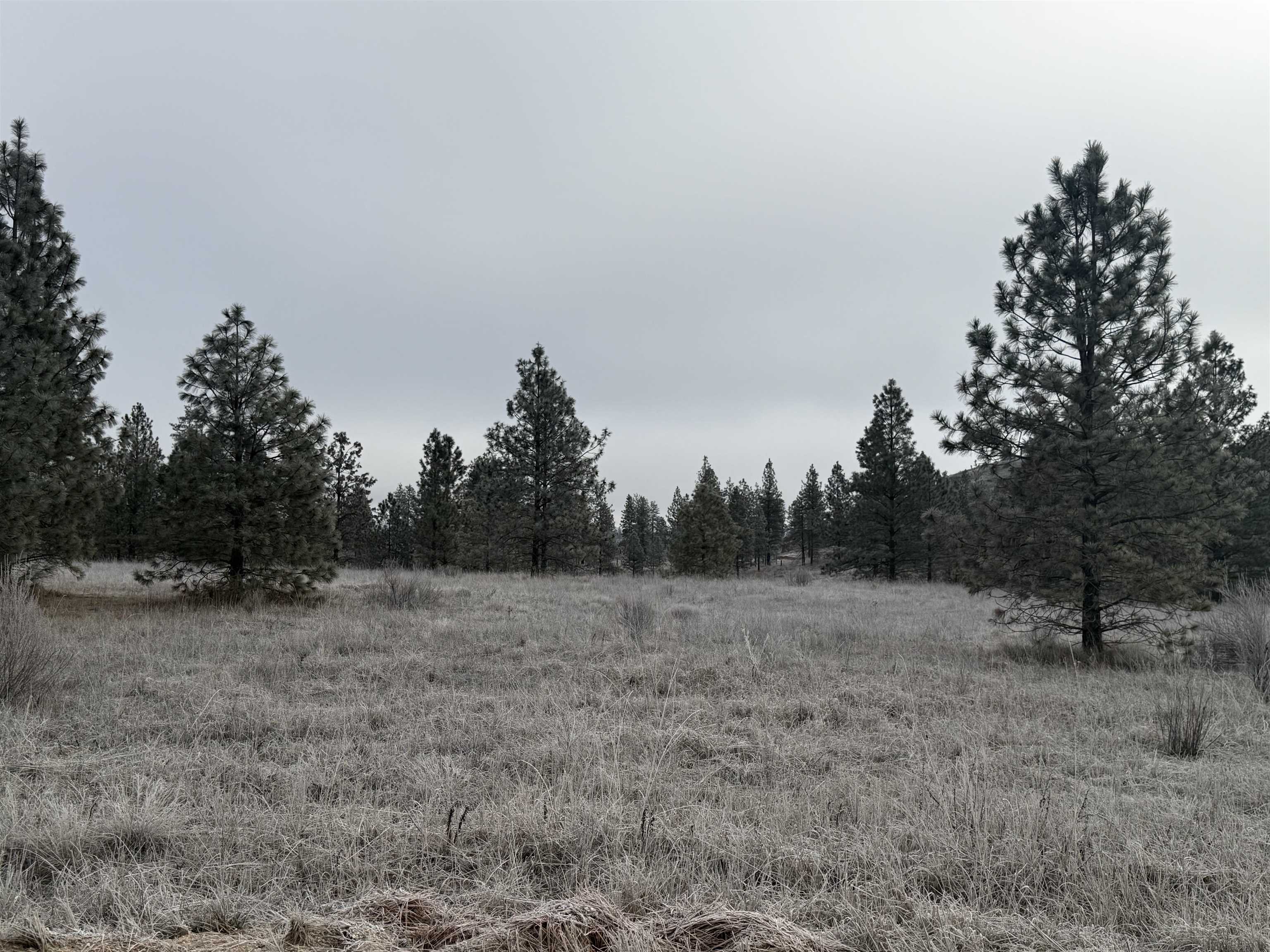 0 N Cayuse Cove Rd - Photo 8