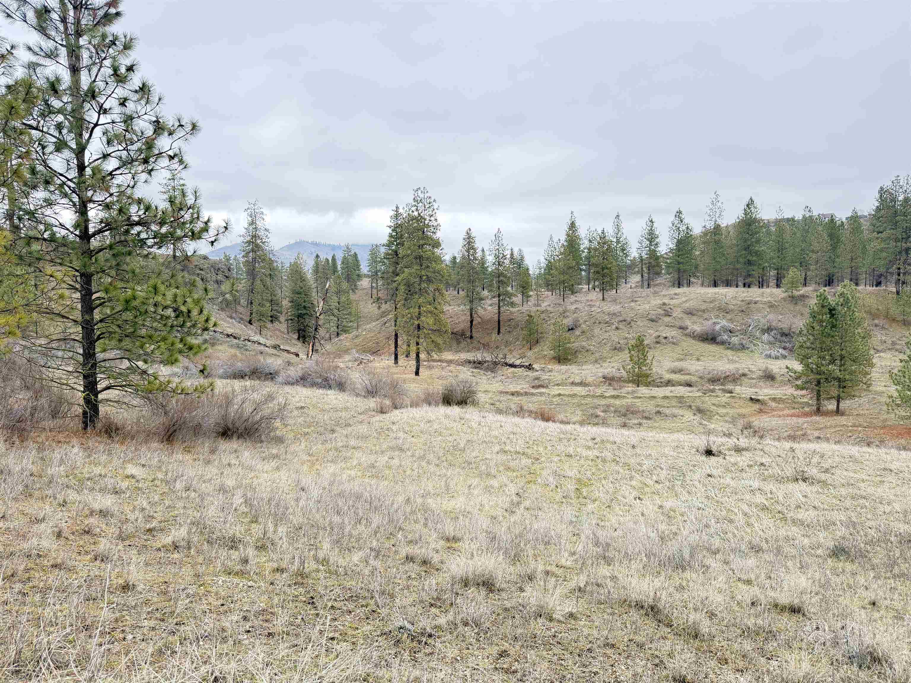 0 N Cayuse Cove Rd - Photo 10