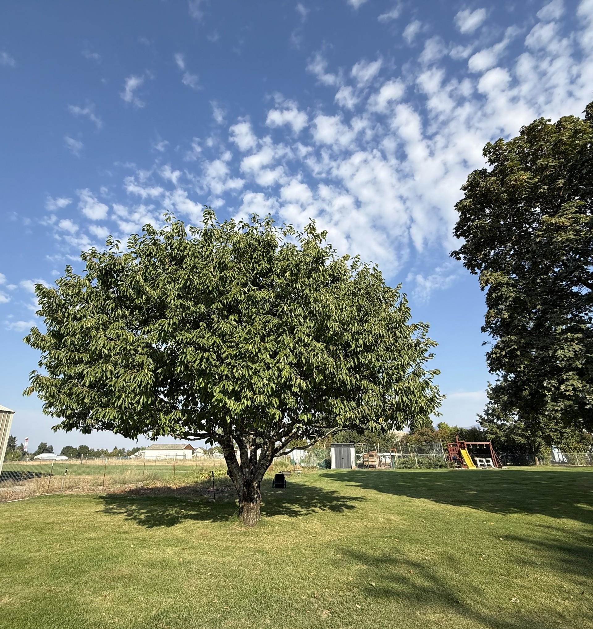 18721 E 8th Ave - Photo 49