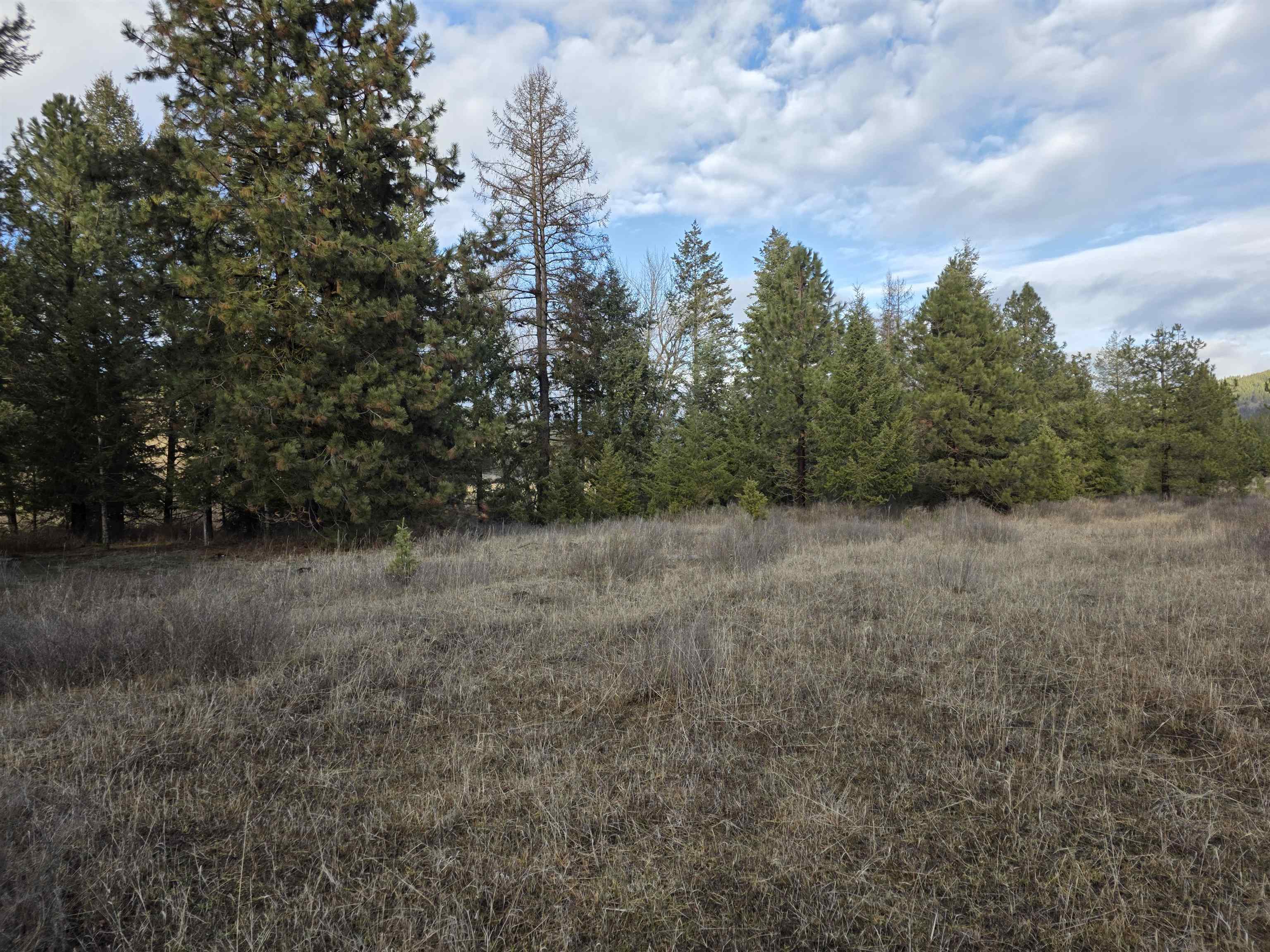2477 Cedonia-Addy Rd - Photo 45